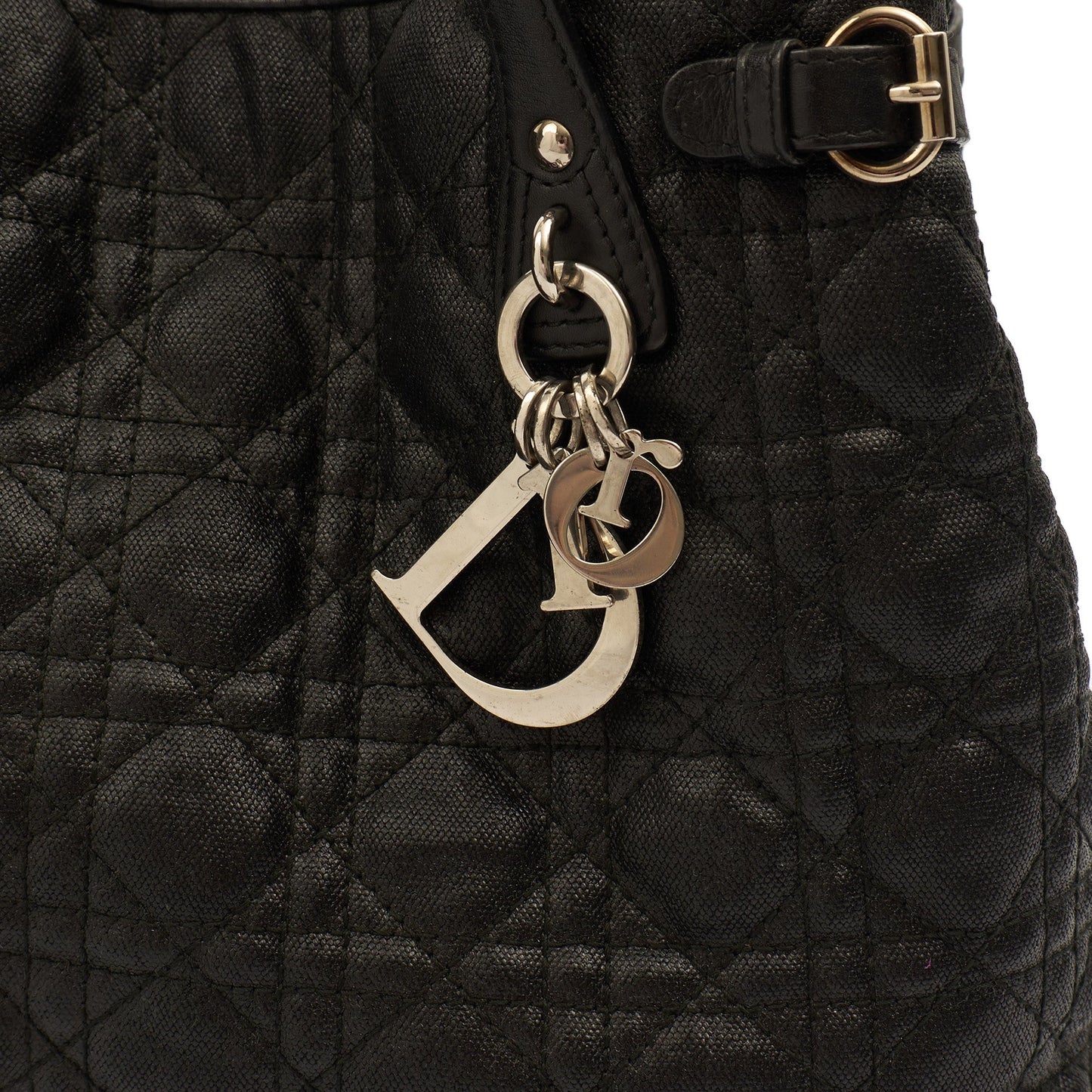 Christian Dior Tote Panarea Tote in Black, Coated Canvas — Lifestyle View