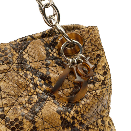 Christian Dior Shoulder Bag East West Lady Dior in Brown, Python Leather — Side View