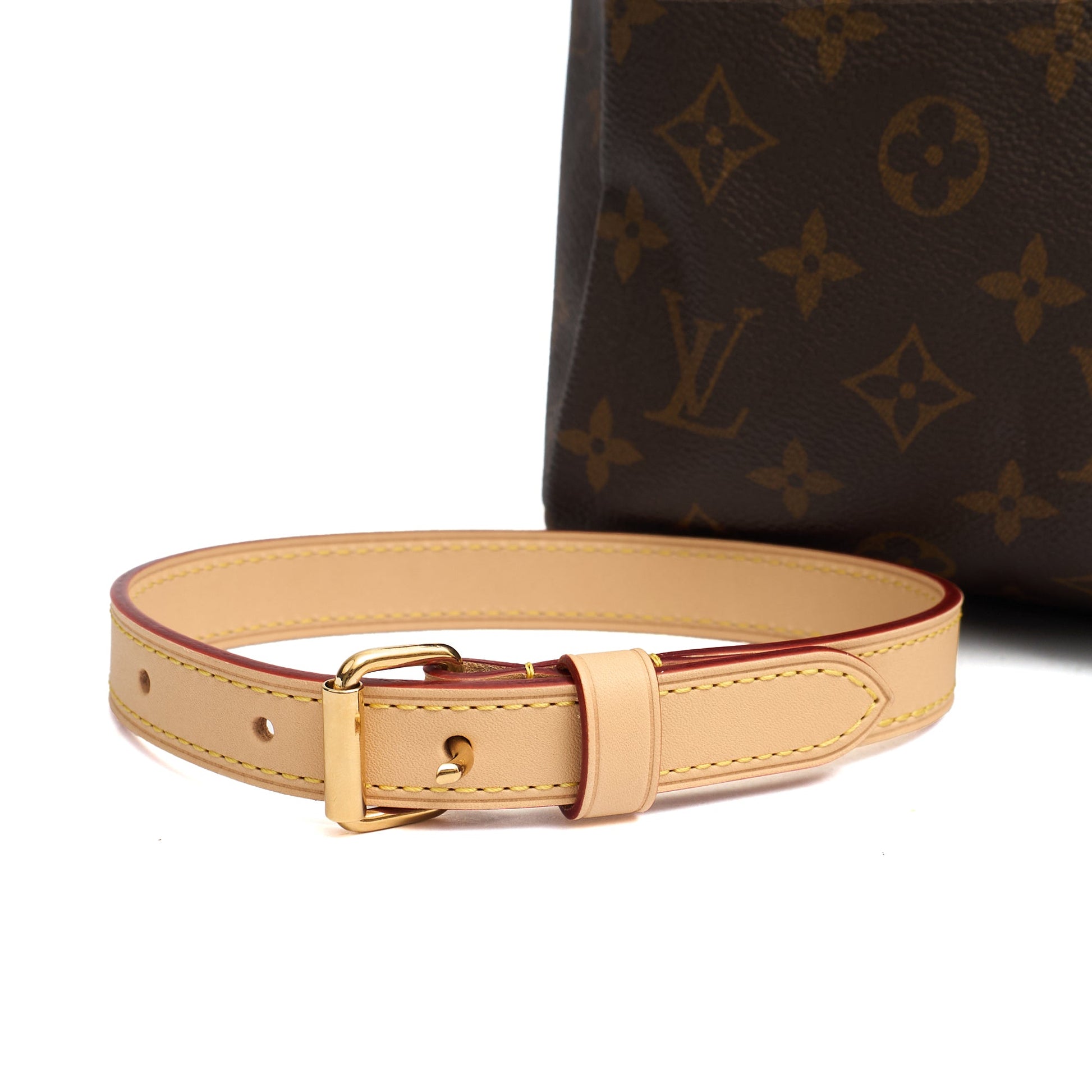 Louis Vuitton Cross Body Speedy Bandouliere 30 in Monogram, Canvas — Lifestyle View