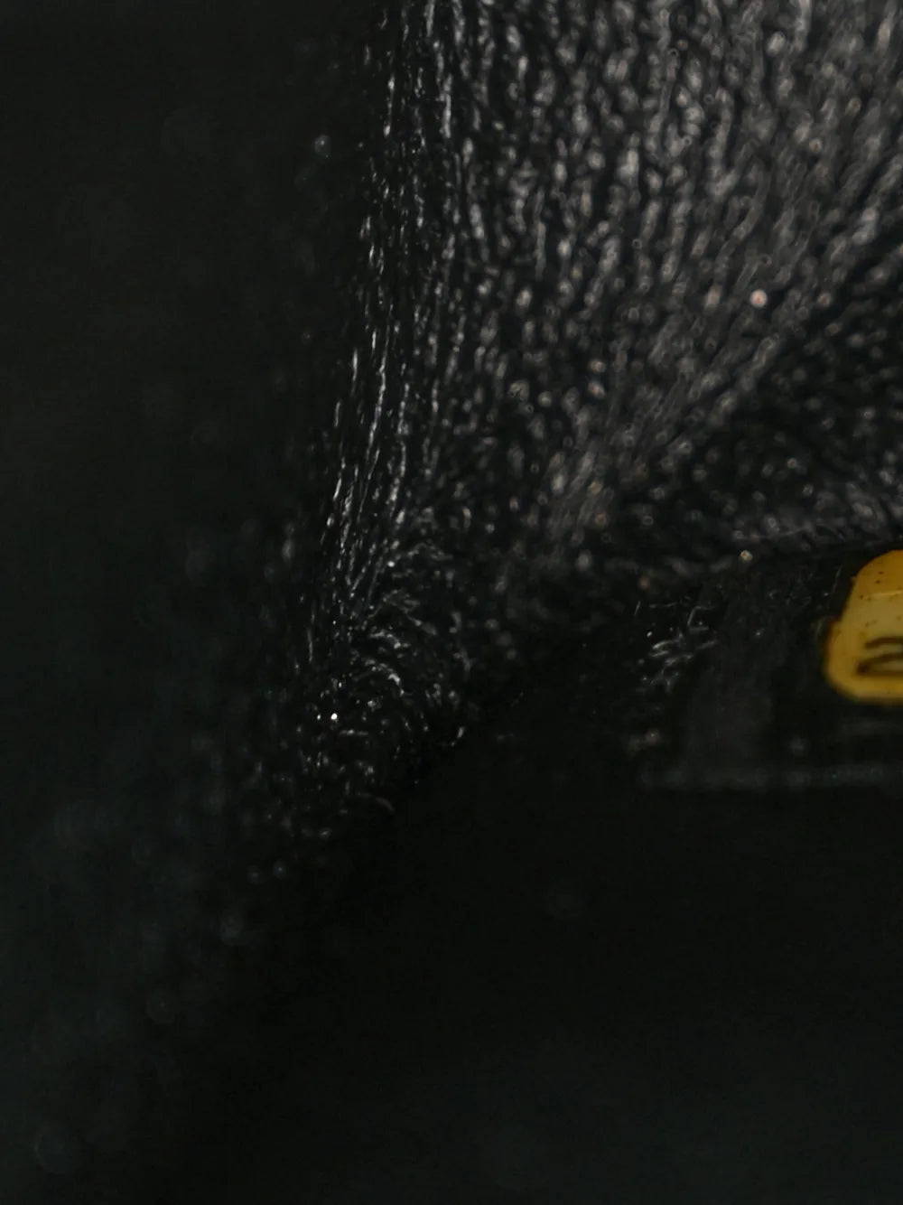 Chanel Pre Owned 2010S 255 Reissue Lucky Charms Shoulder Bag — Same as shown — Size One Size — Lifestyle View
