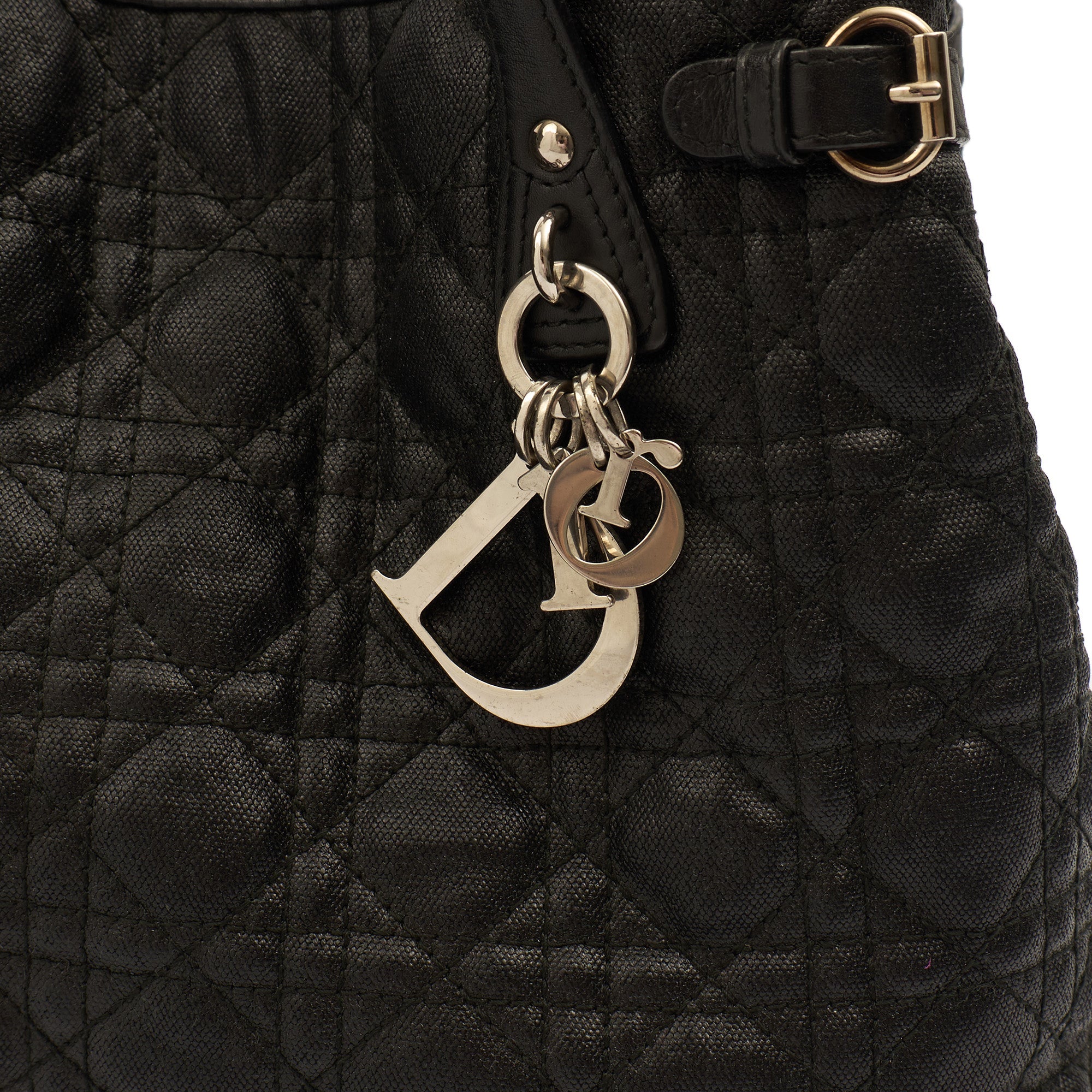 Christian Dior Tote Panarea Tote in Black, Coated Canvas — Lifestyle View