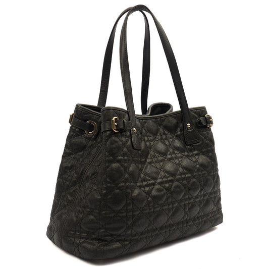 Christian Dior Tote Panarea Tote in Black, Coated Canvas — Side View