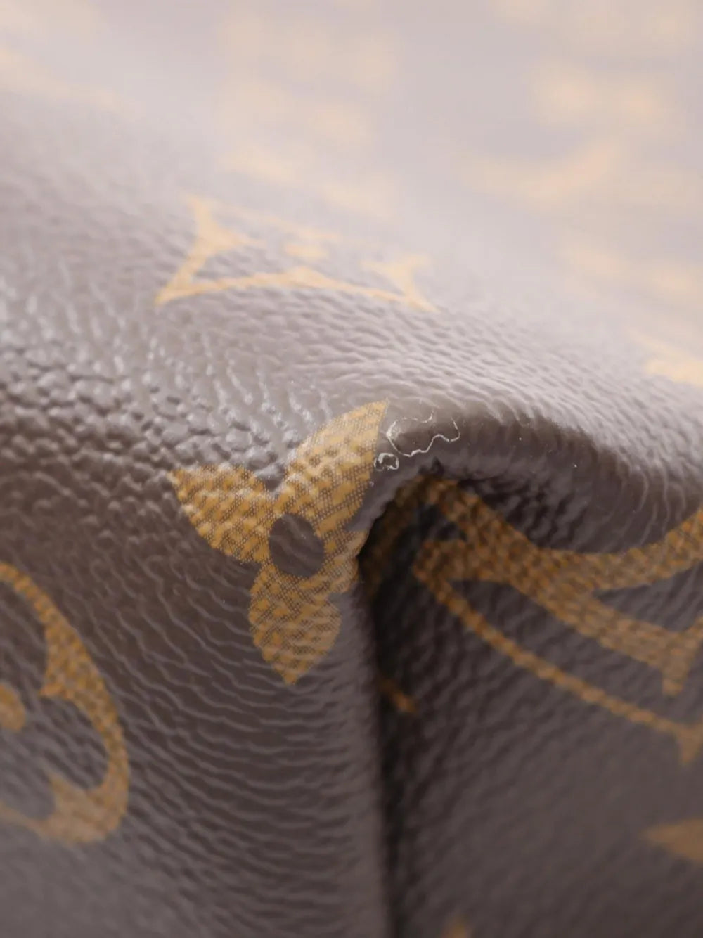 Louis Vuitton Pre Owned 2021 2025 Monogram Carryall Pm Shoulder Bag — Same as shown — Size One Size — Lifestyle View