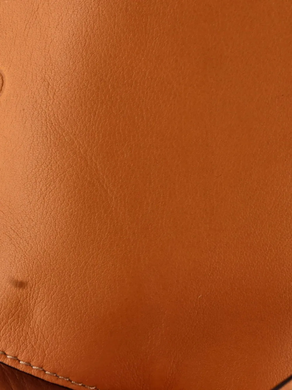 Loewe Pre Owned Puzzle Leather Hobo Bag — Same as shown — Size One Size — Detail View