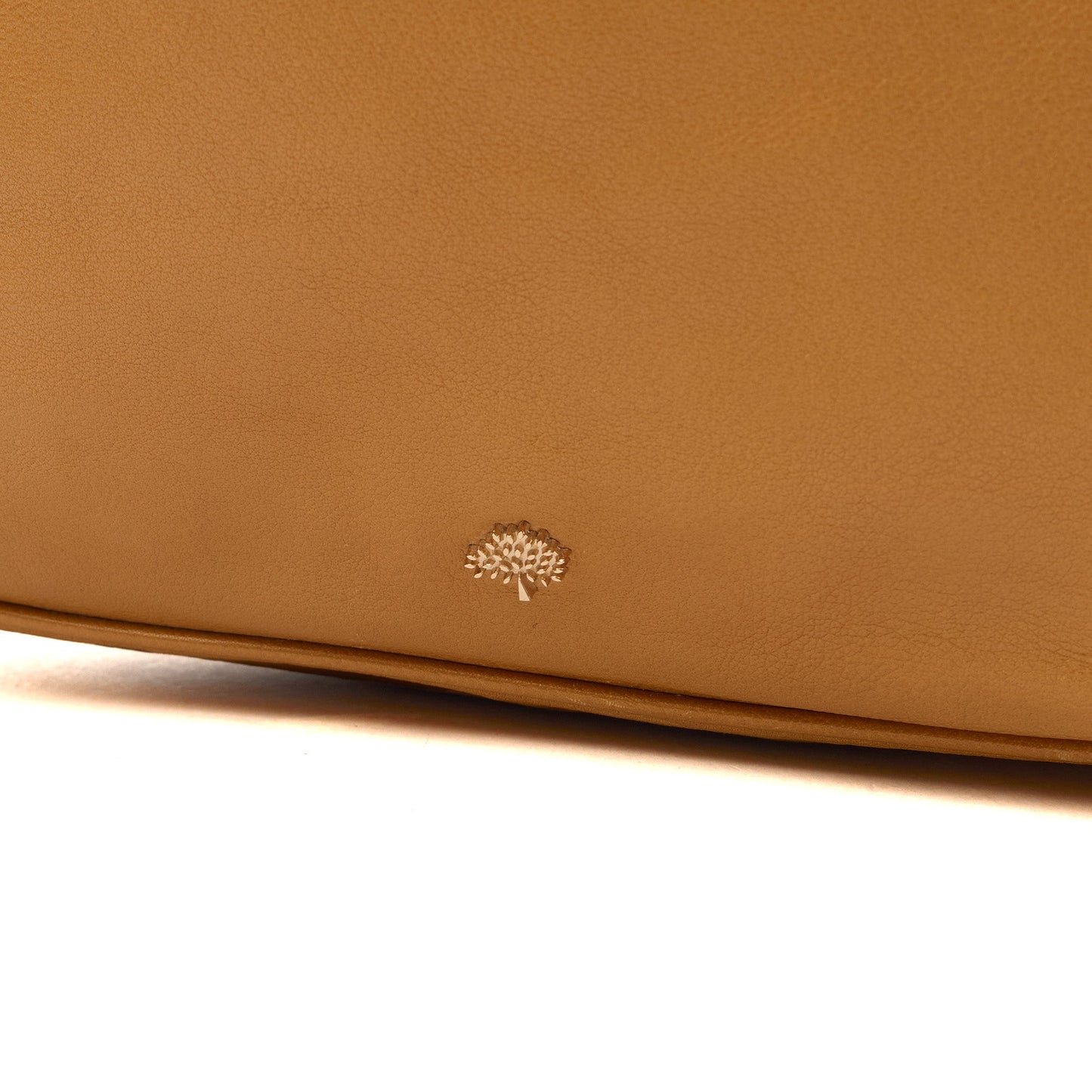 Mulberry Tote Evelina Hobo in Deer Brown, Calfskin Leather — Lifestyle View