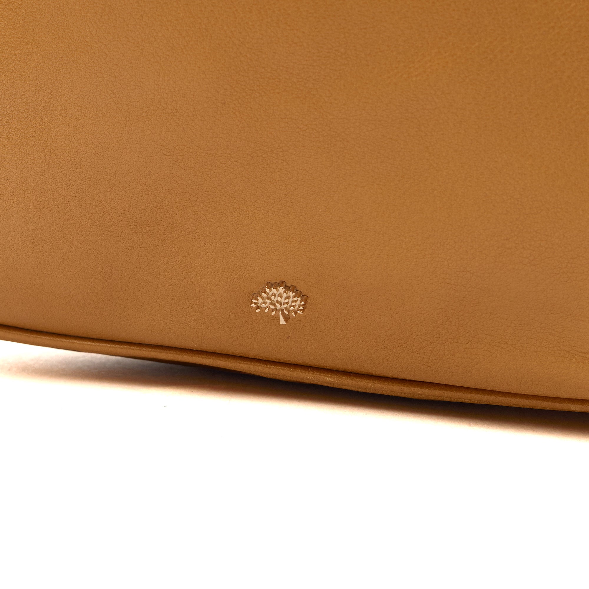 Mulberry Tote Evelina Hobo in Deer Brown, Calfskin Leather — Lifestyle View