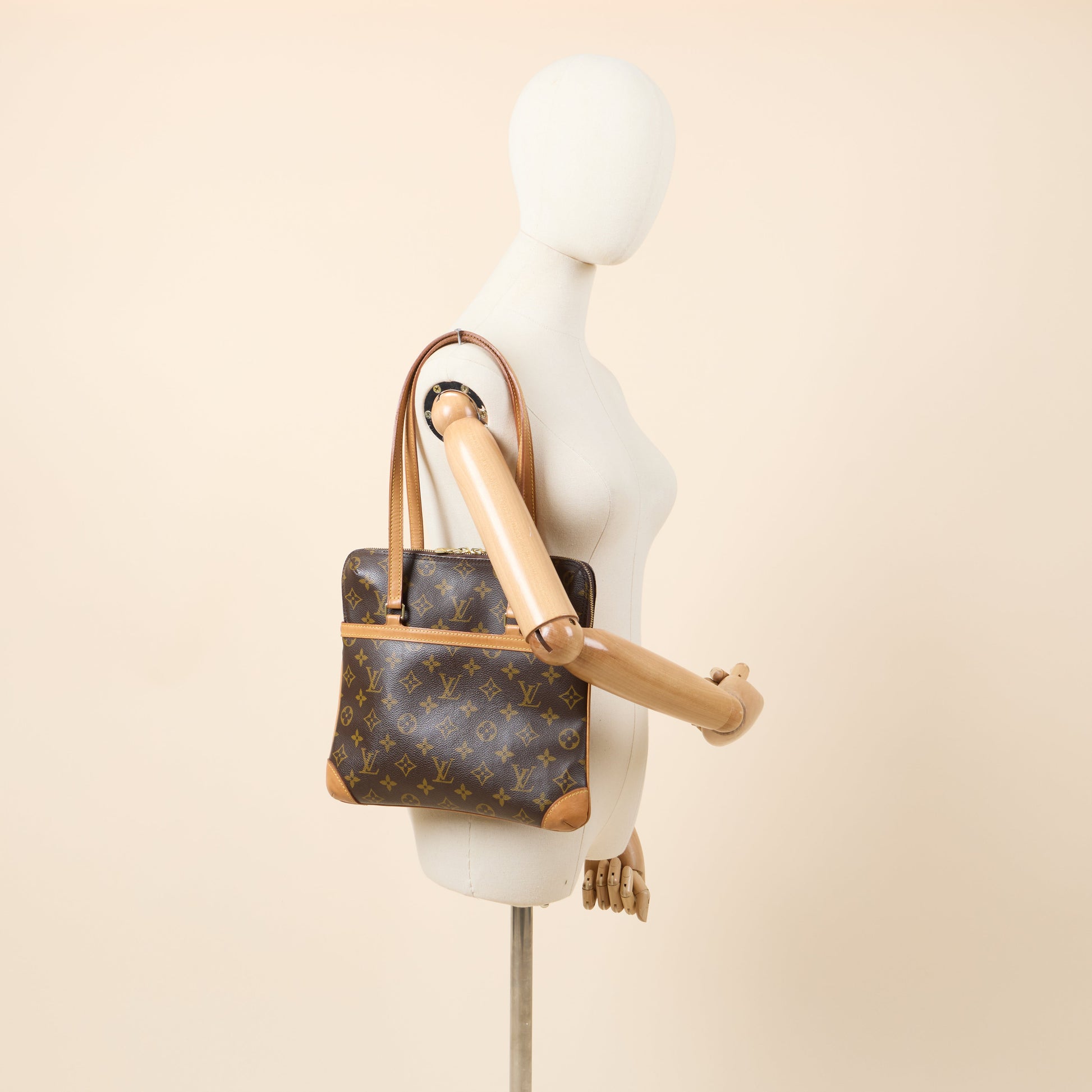 Louis Vuitton Cross Body Coussin Pochette  in Monogram, Canvas — Alternate View 9