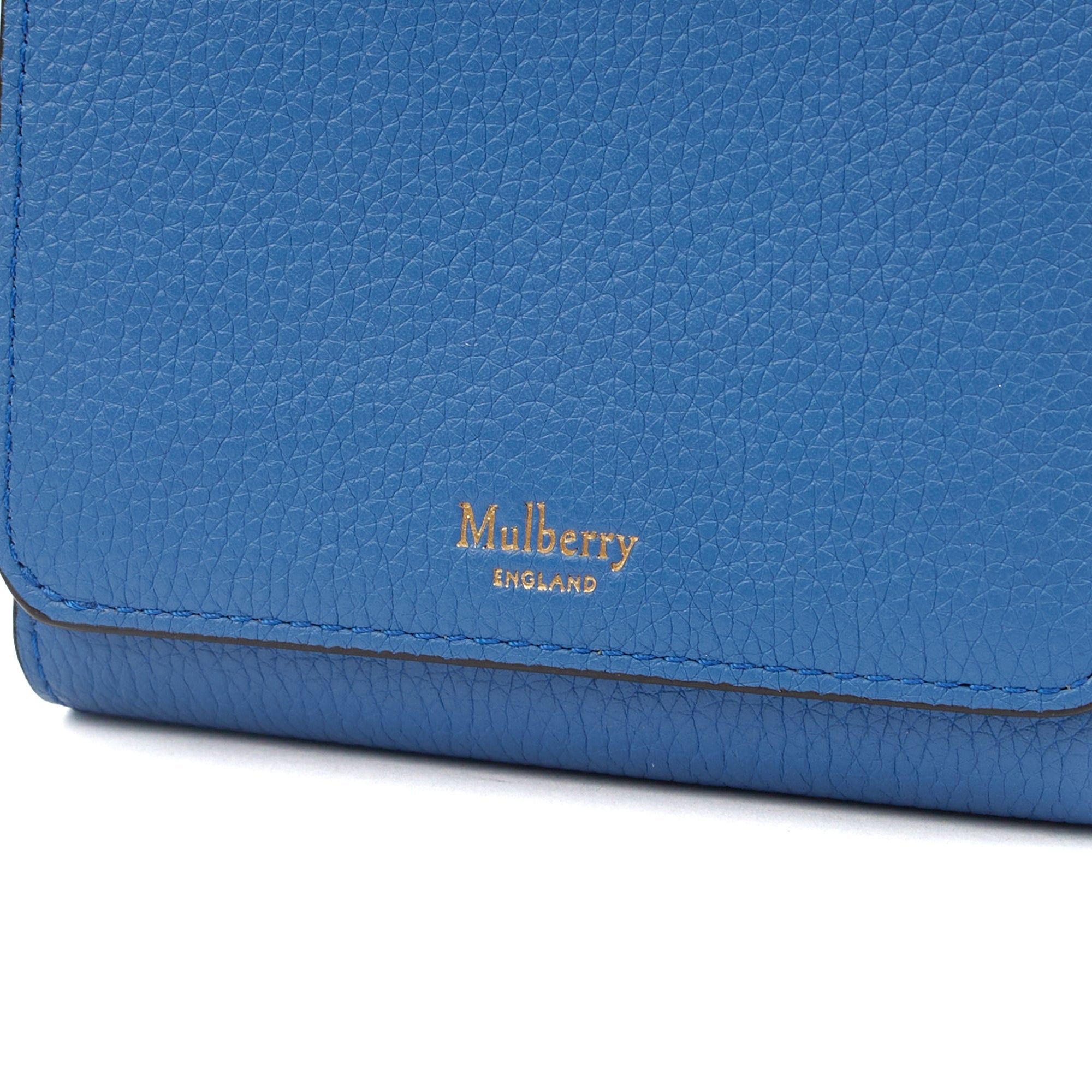 Mulberry Wallet Wallet in Blue, Calfskin Leather — Lifestyle View