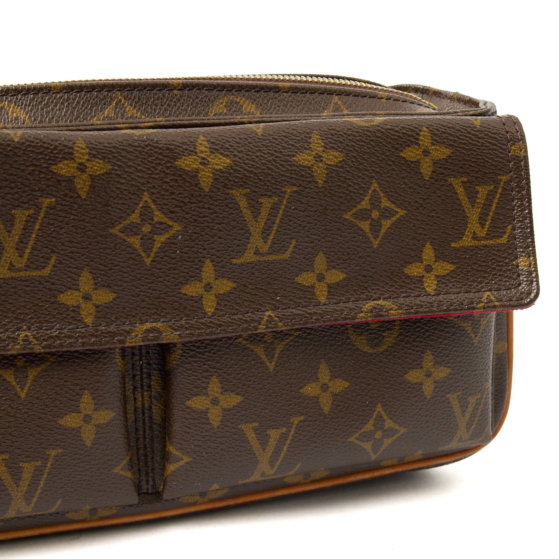 Louis Vuitton Cross Body Vivacite Bag in Monogram, Leather — Lifestyle View