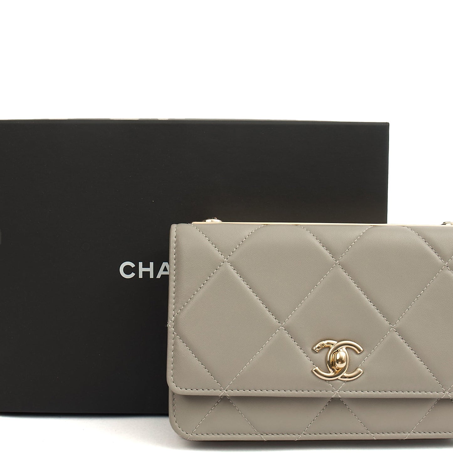 Chanel Cross Body Chanel Trendy Wallet On Chain in Grey, Lambskin Leather — Back View