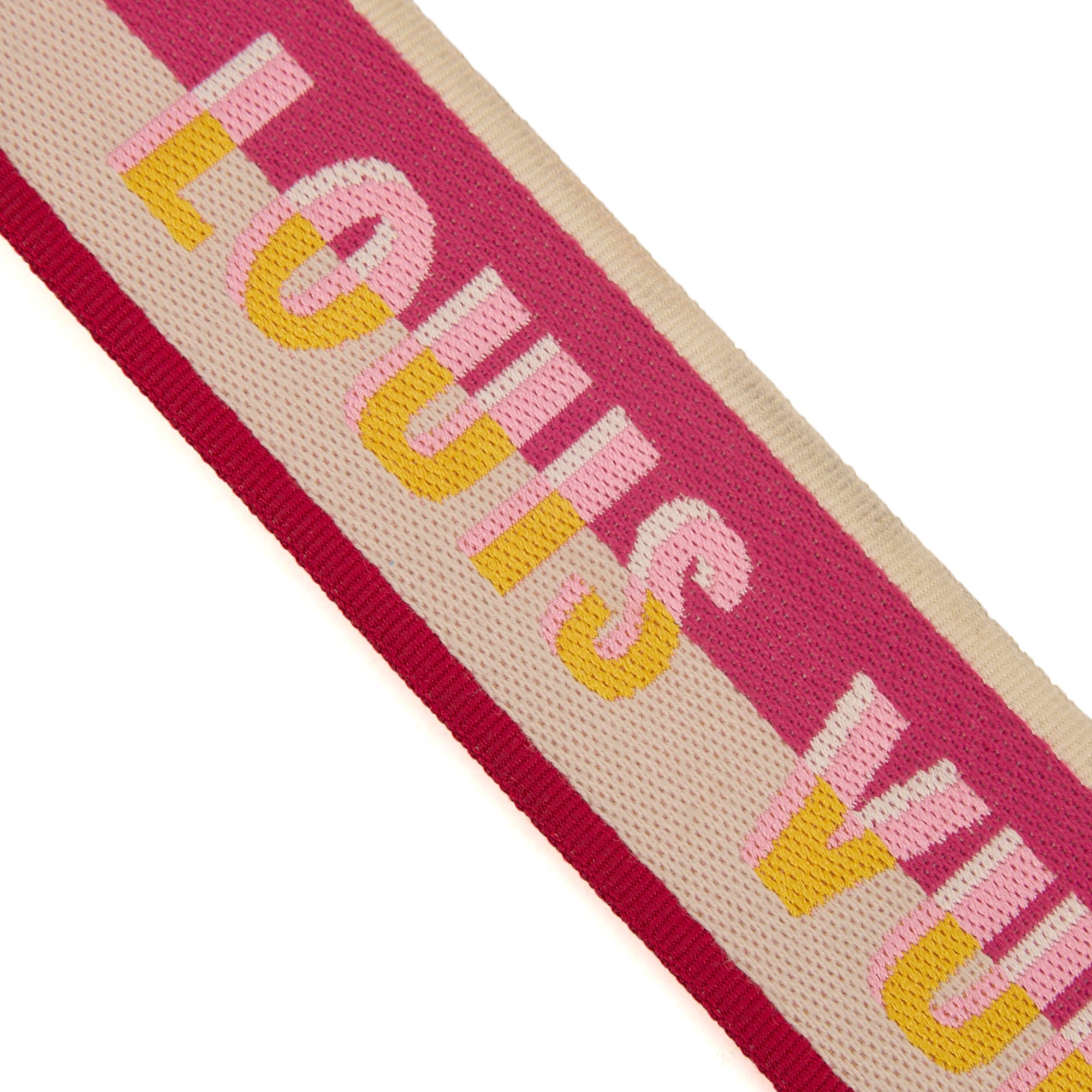 Louis Vuitton Other Bandouliere (Shoulder Strap) in Mini Lin Pink, invalid — Top View