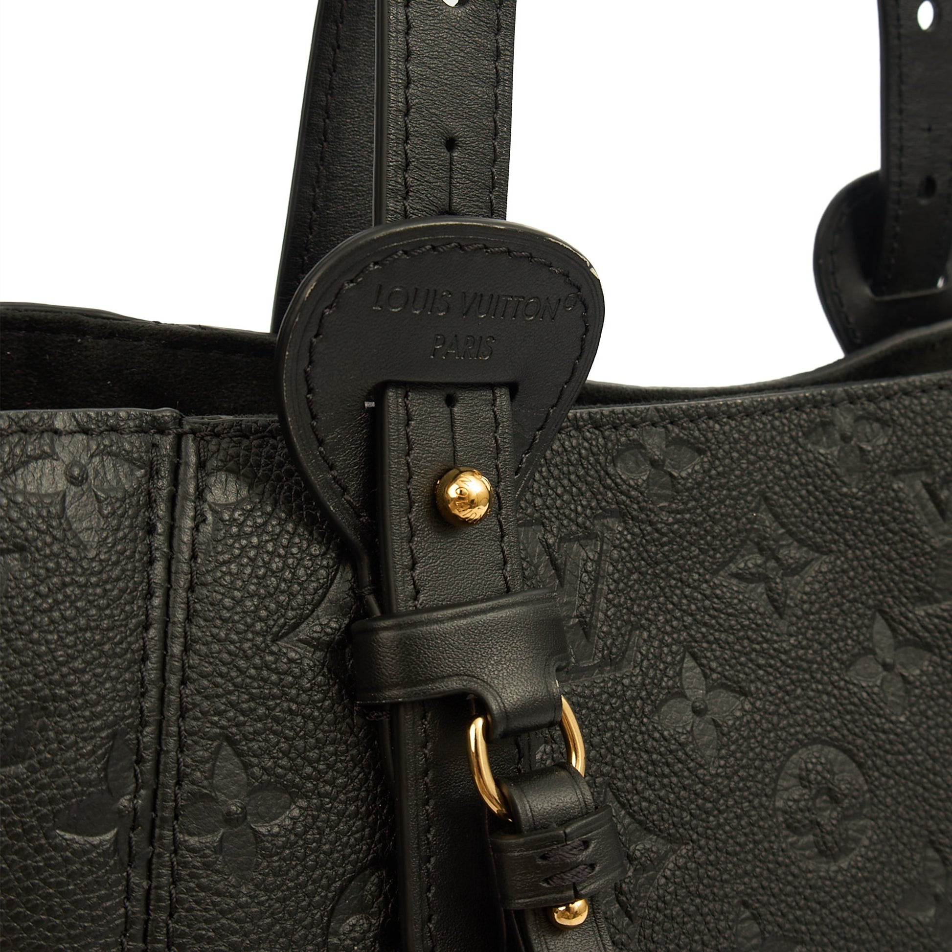 Louis Vuitton Tote All In One PM in Monogram, Empreinte Leather — Side View