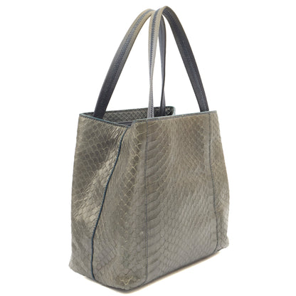 Prada Mini Bag Tote in Grey, Python Leather — Side View
