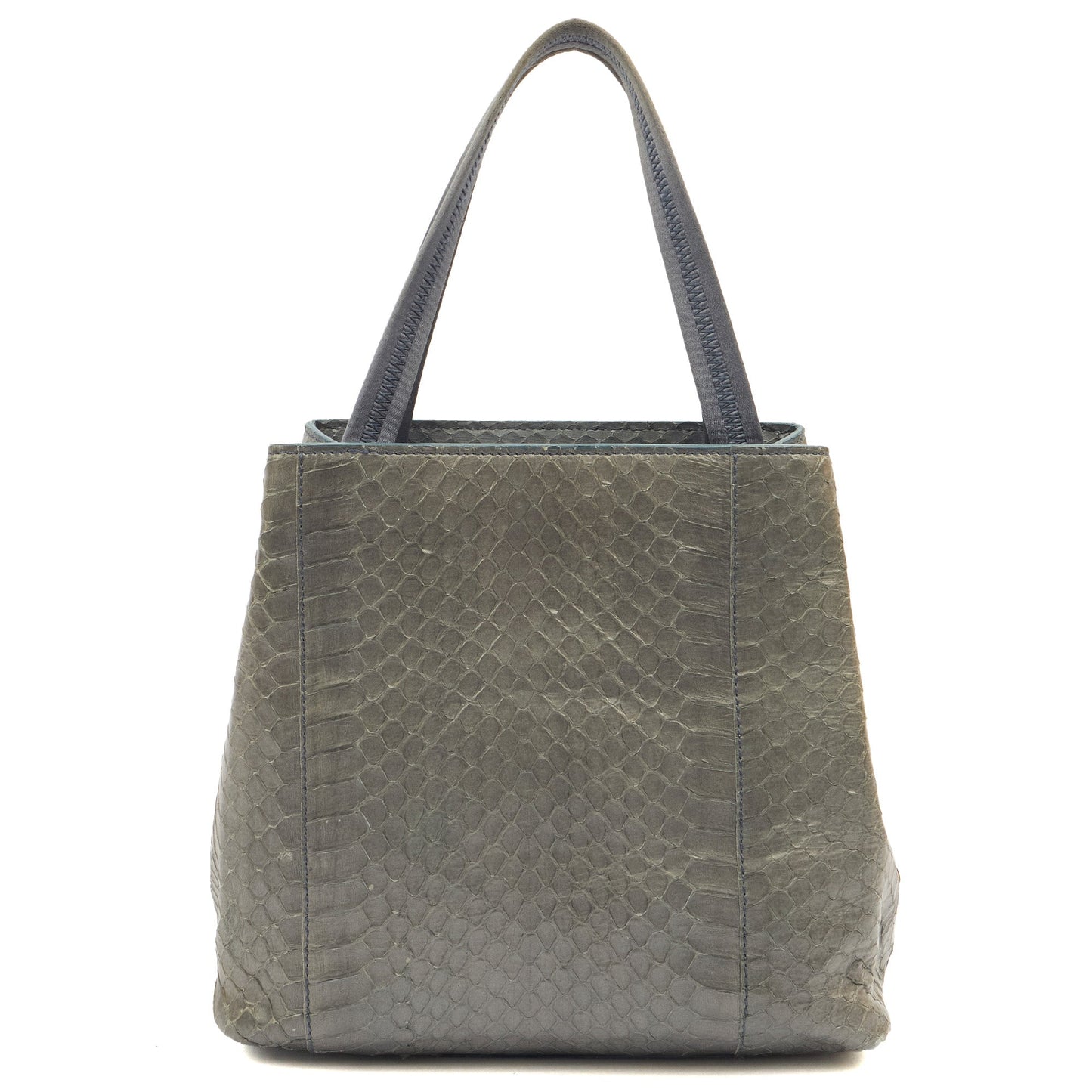 Prada Mini Bag Tote in Grey, Python Leather — Back View