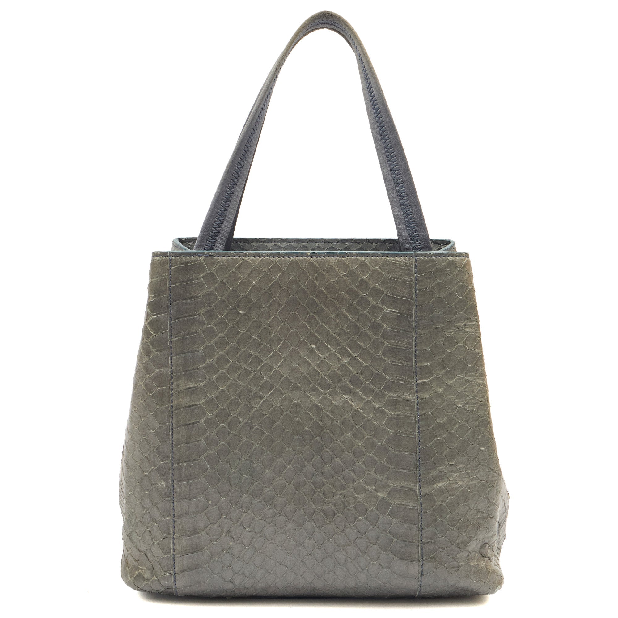 Prada Mini Bag Tote in Grey, Python Leather — Back View