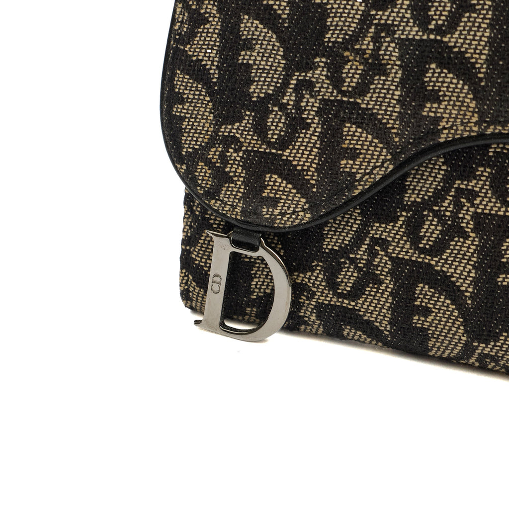 Christian Dior Wallet Saddle Coin Purse in Blue, Dior Oblique Embroidery — Lifestyle View