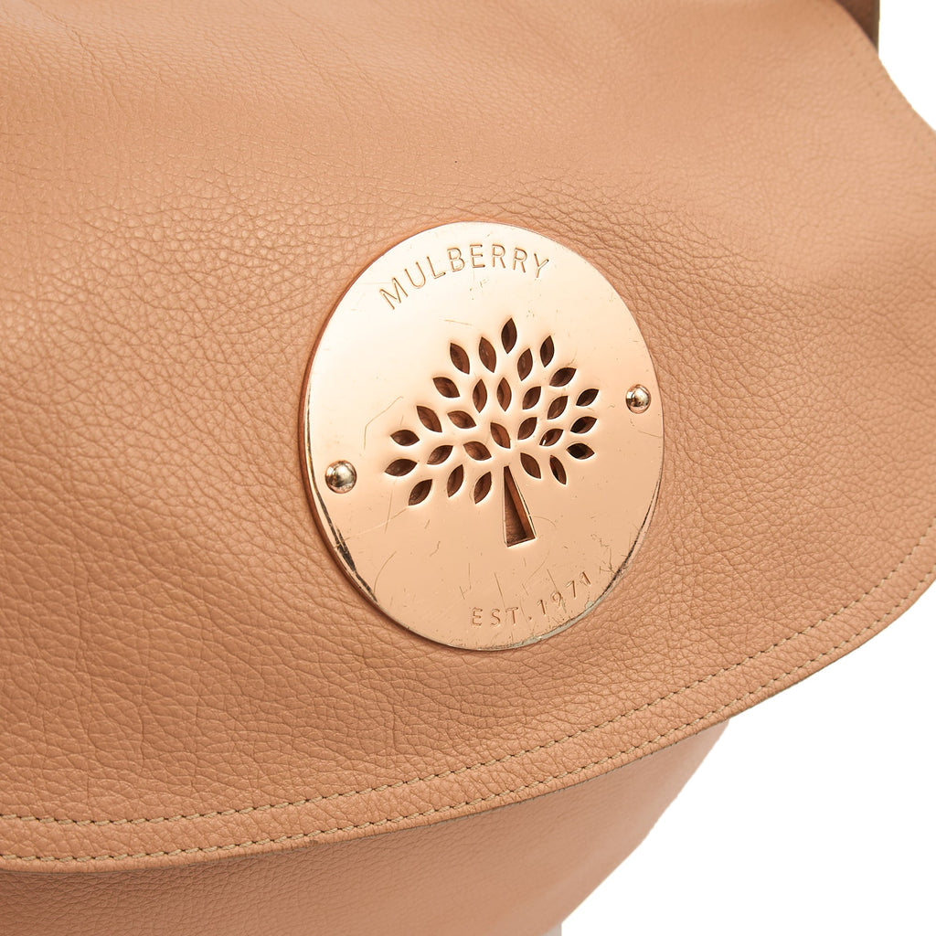 Mulberry Satchel Daria Hobo in Pink, Leather — Alternate View 12