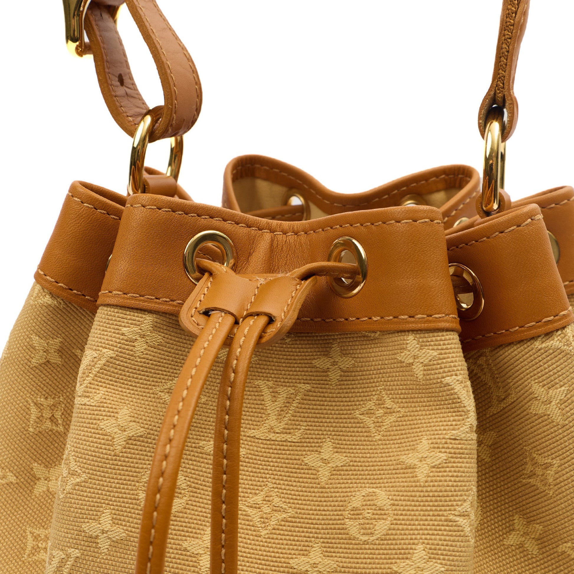 Louis Vuitton Bucket Bag Mini Lin Noe in Mini Lin Beige, Canvas — Lifestyle View