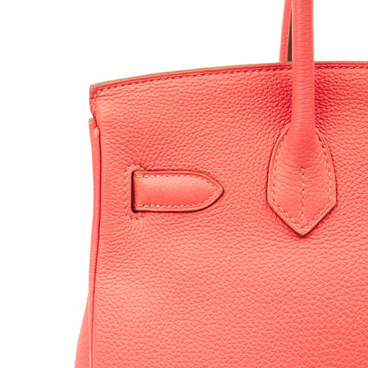 Hermes Tote Birkin 30 in Rose Lipstick, Togo Leather — Alternate View 24