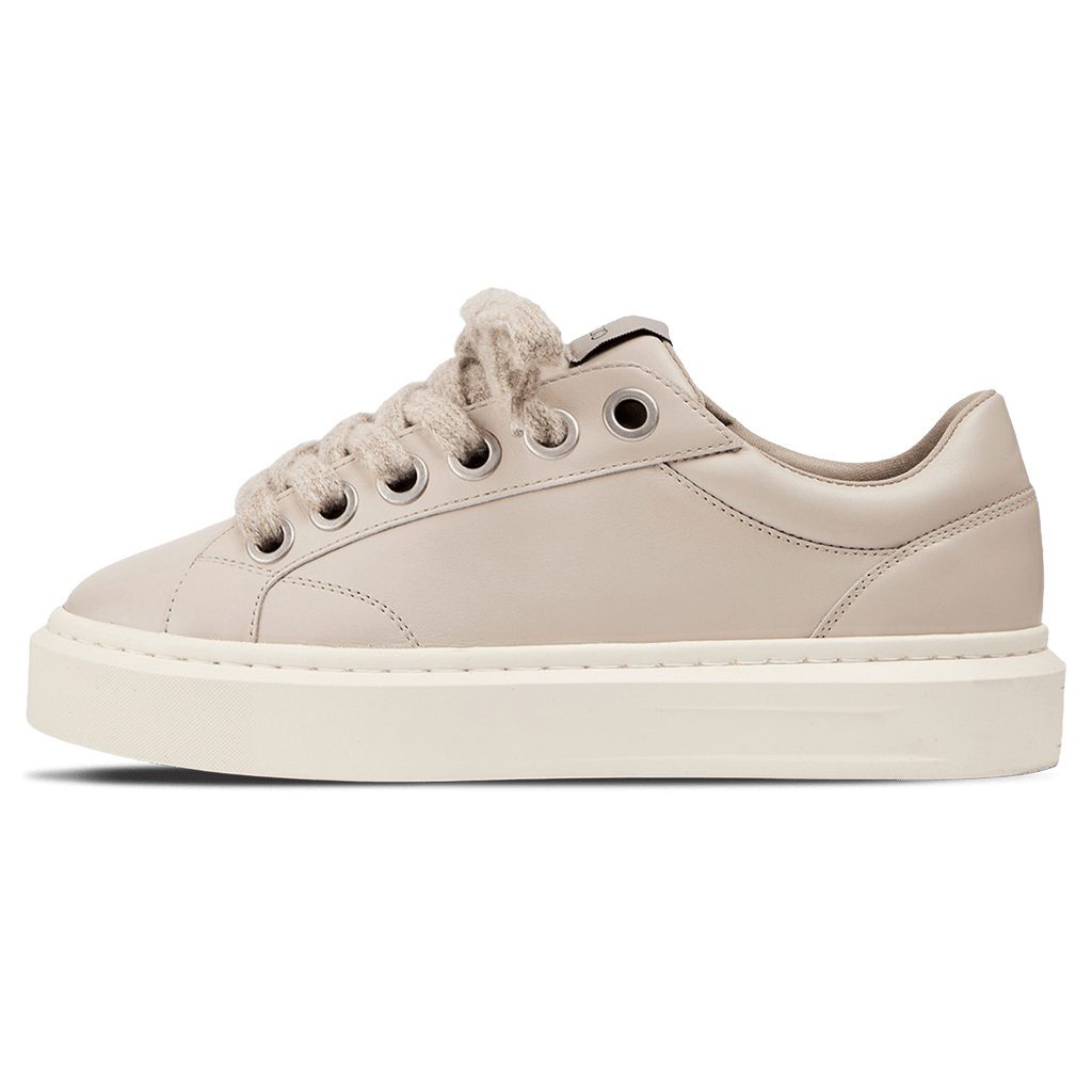 Cleens Ace 'Crème' — UK 3 | EU 37 | US 4 — Front View