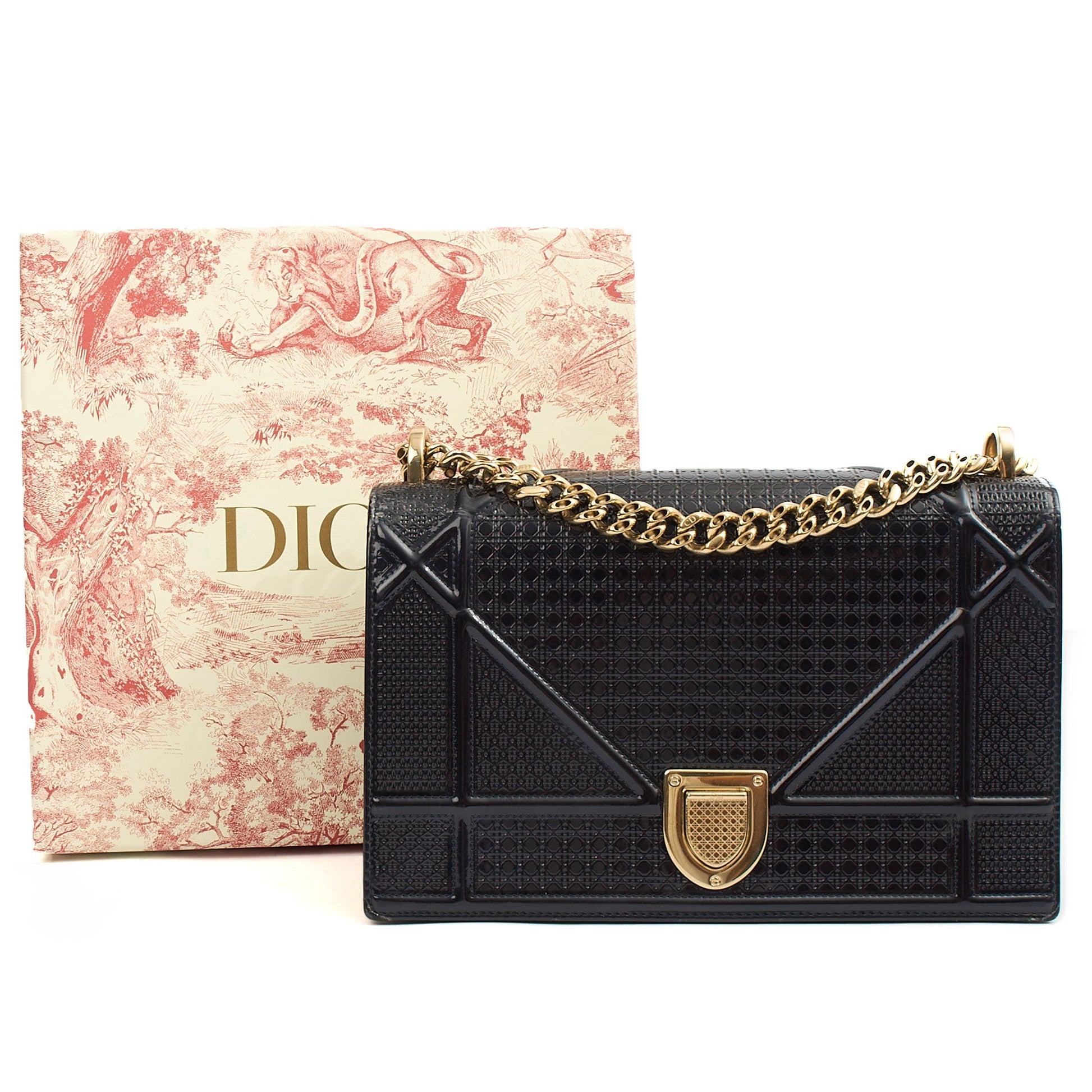 Christian Dior Shoulder Bag Diorama - Small in Blue, Leather — Lifestyle View