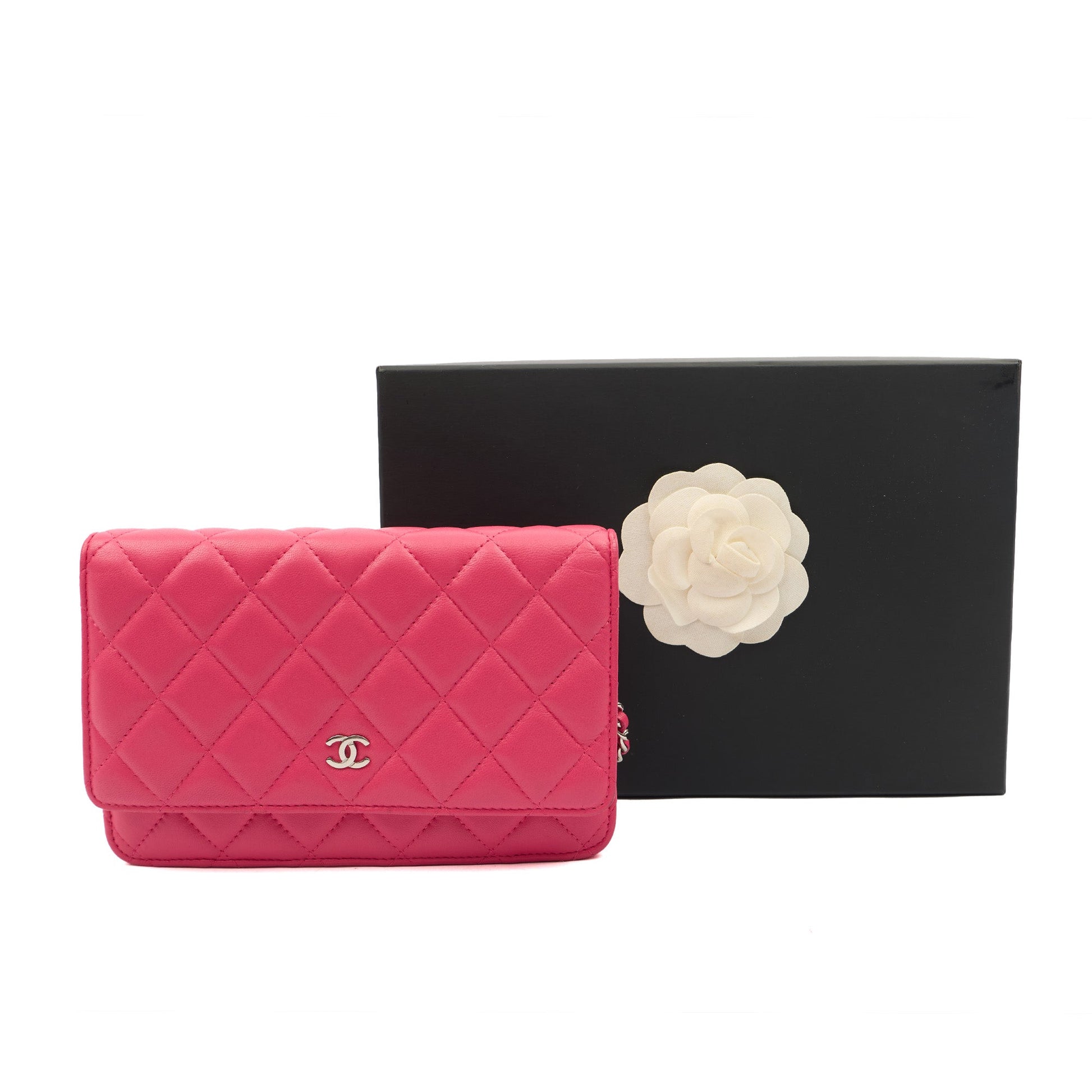 Chanel Cross Body Wallet on Chain in Pink, Lambskin Leather — Lifestyle View