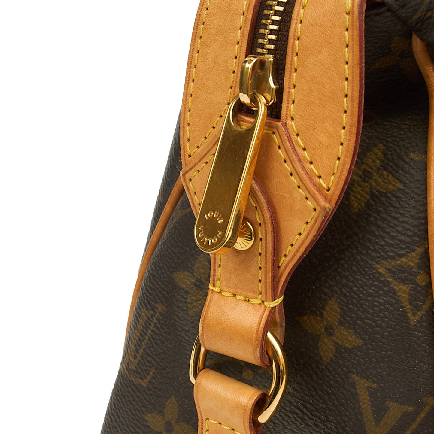 Louis Vuitton Tote Stresa GM in Monogram, Canvas — Lifestyle View