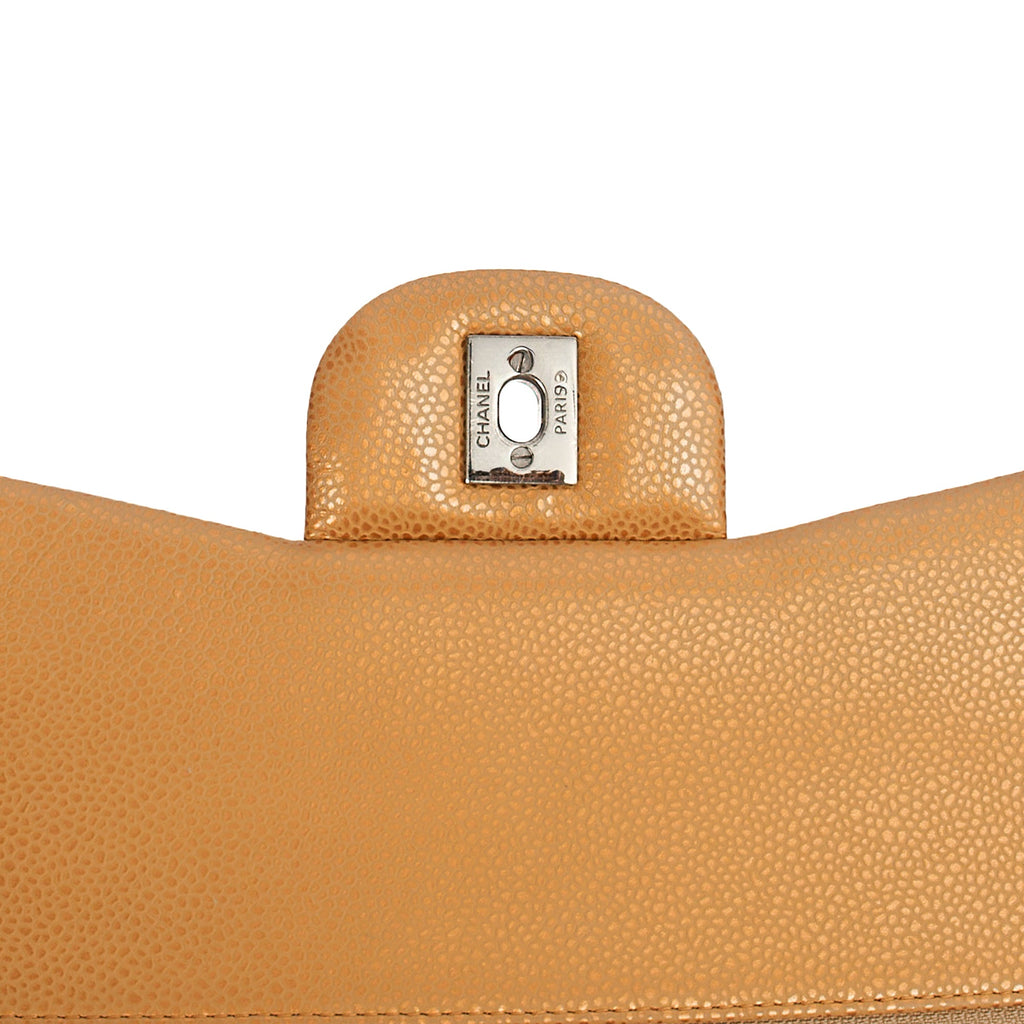 Chanel Cross Body Classic Double Flap - Large in Metallic, Caviar Leather — Alternate View 8