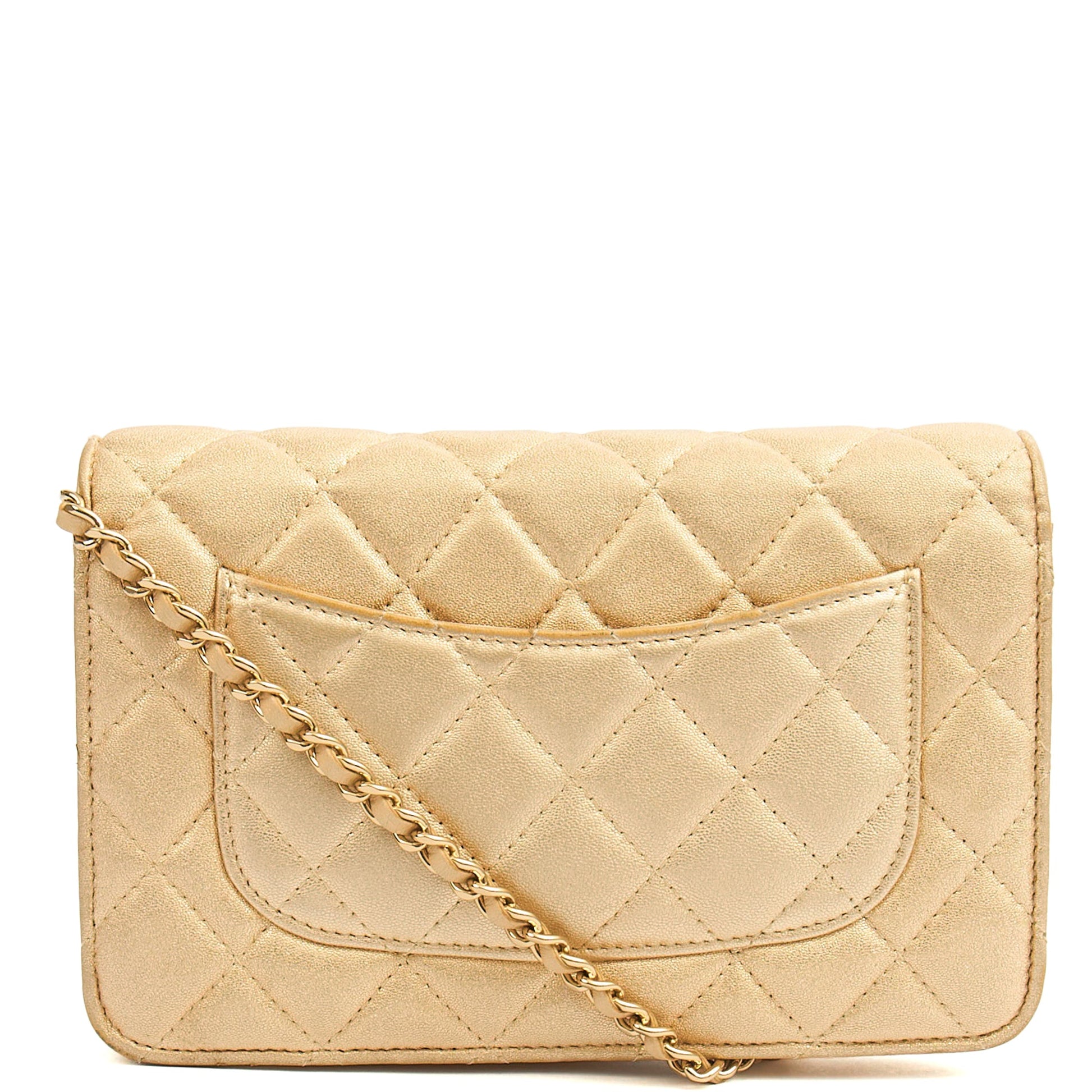 Chanel Cross Body Wallet on Chain in Metallic, Fabric — Back View