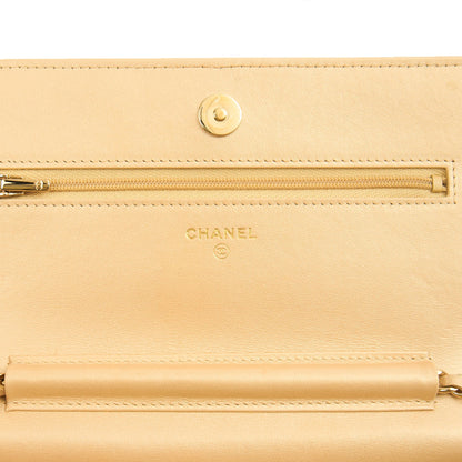 Chanel Cross Body Wallet on Chain in Metallic, Fabric — Alternate View 9