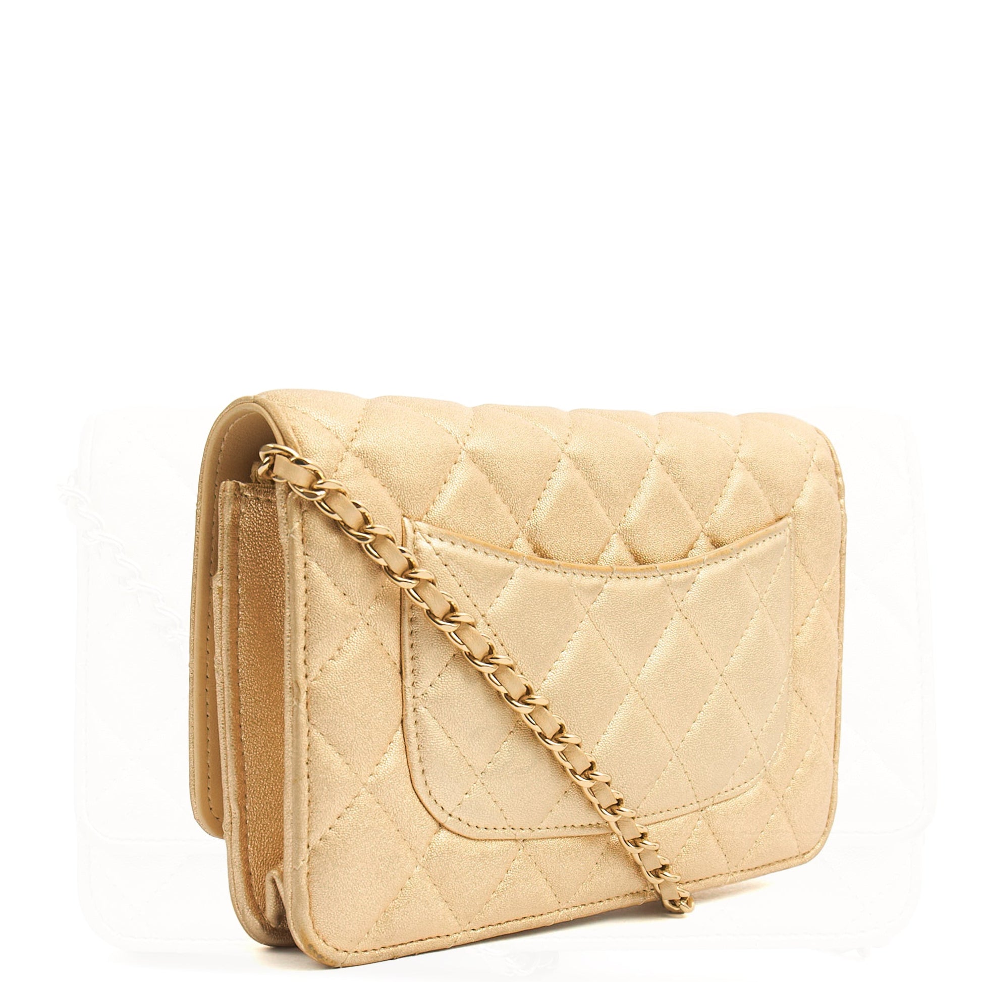 Chanel Cross Body Wallet on Chain in Metallic, Fabric — Side View