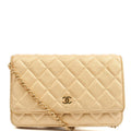 Chanel Cross Body Wallet on Chain in Metallic, Fabric — Front View