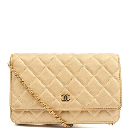 Chanel Cross Body Wallet on Chain in Metallic, Fabric — Alternate View 10