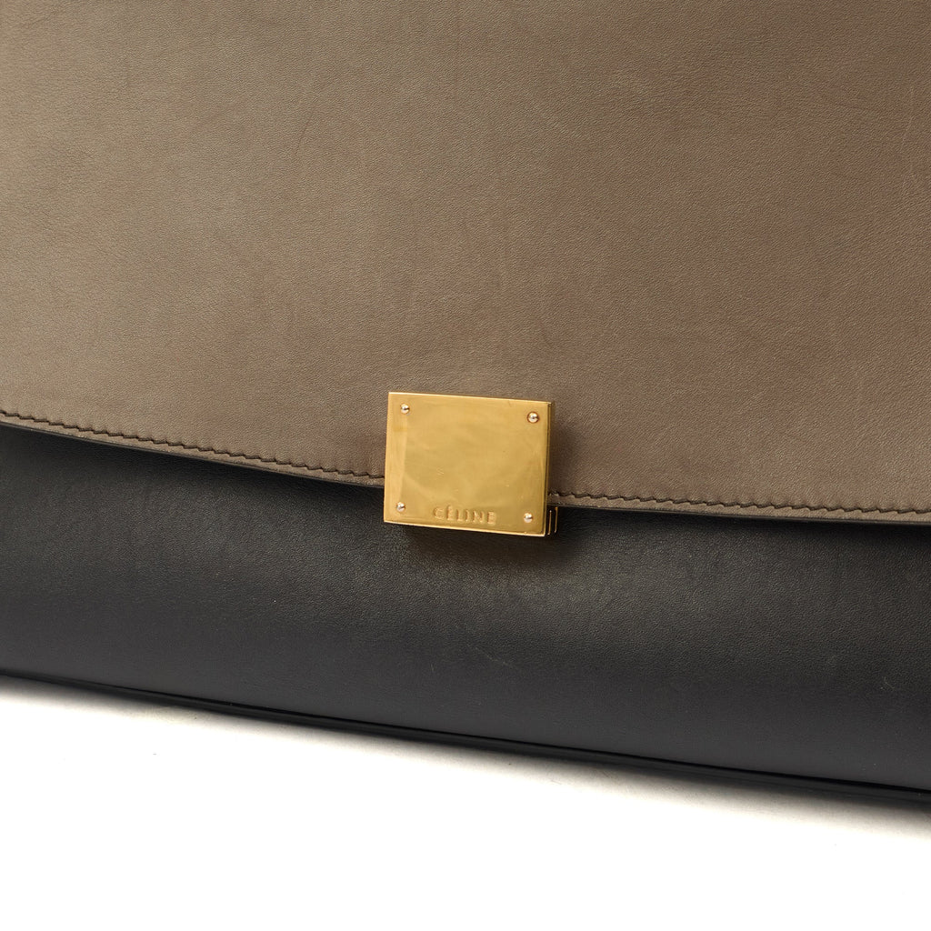 Celine Top Handle Trapeze - Medium in Multi, Leather — Lifestyle View