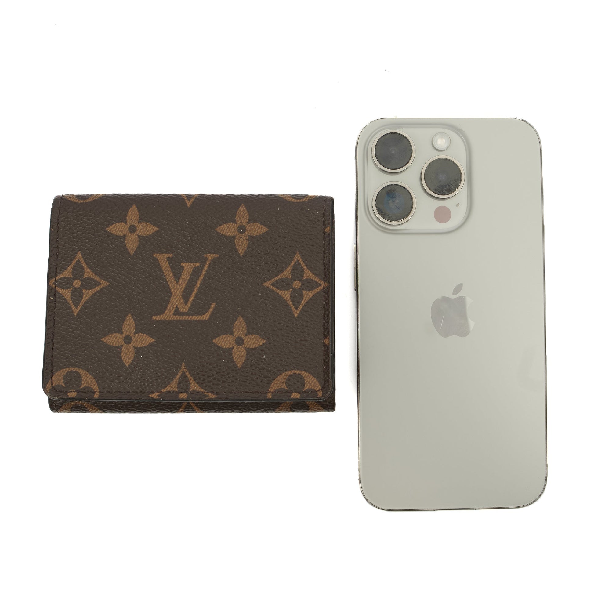 Louis Vuitton Purse Wallet in Monogram, Canvas — Lifestyle View