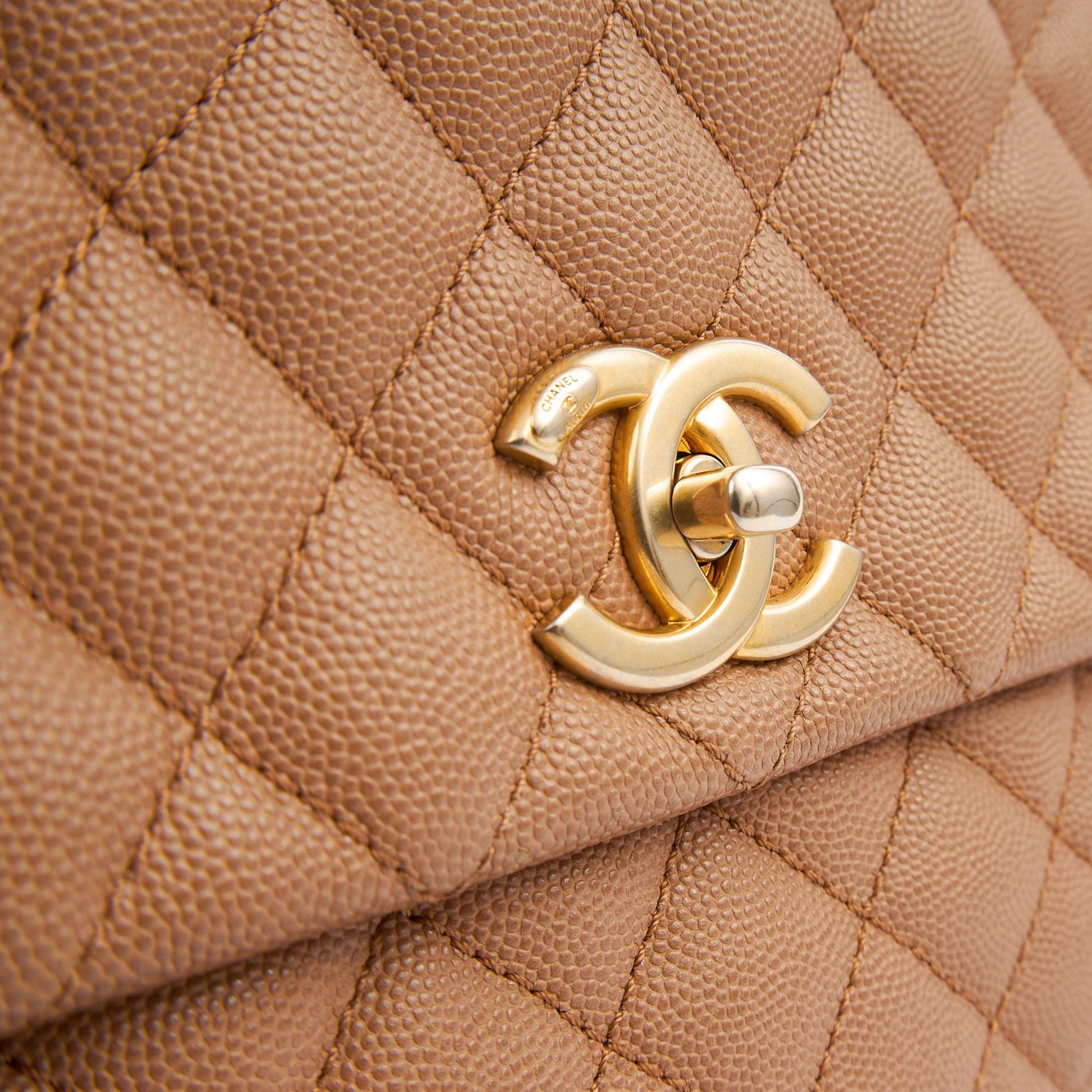 Chanel Top Handle Coco Handle- Medium  in Cream, Caviar Leather — Lifestyle View