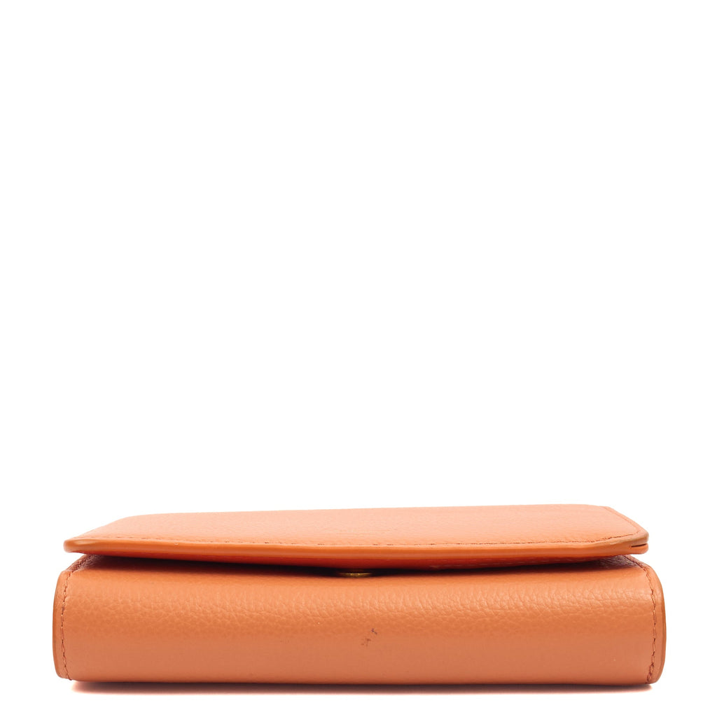 Mulberry Purse Continental Wallet  in Apricot, Leather — Alternate View 10