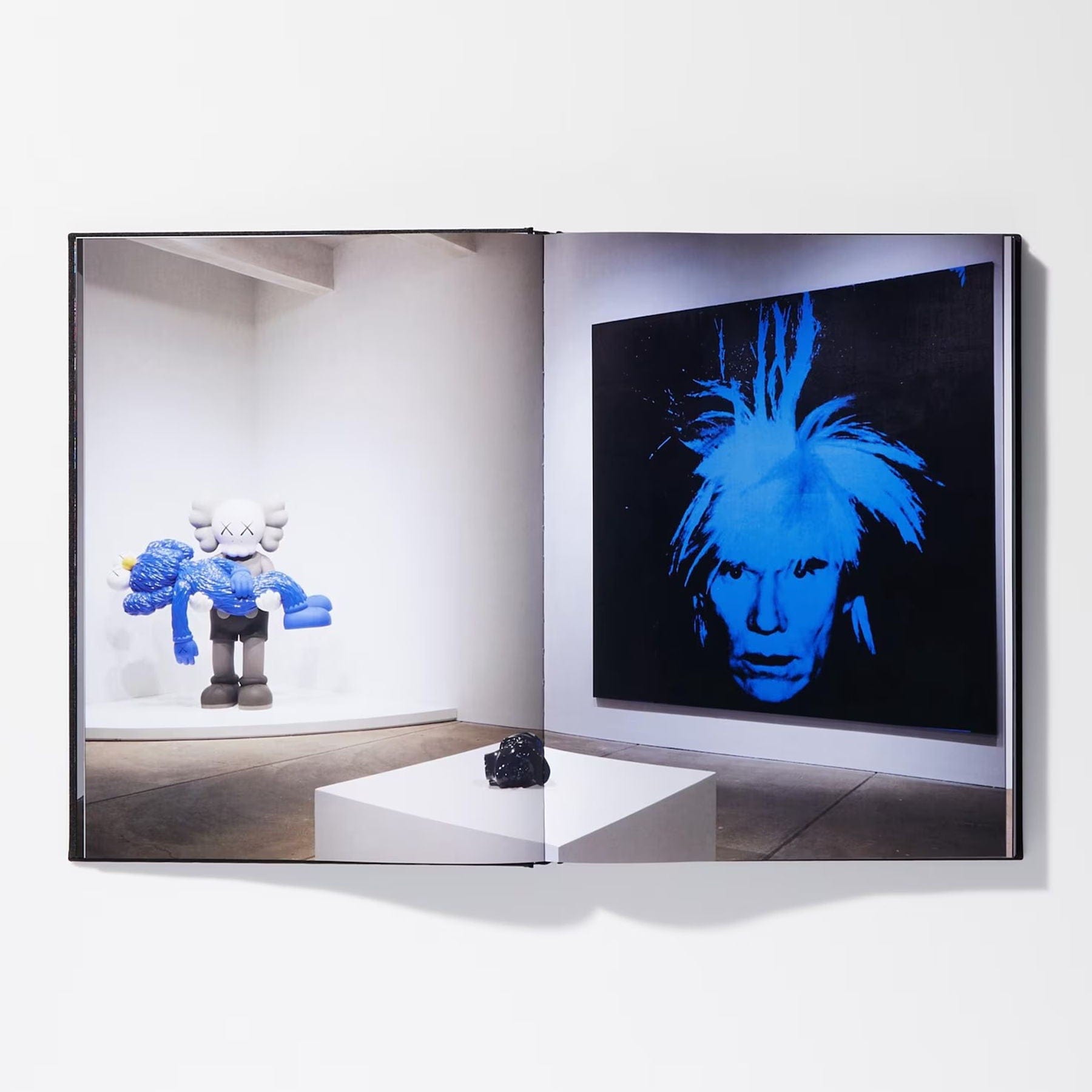 KAWS X Warhol Art Book — Front View