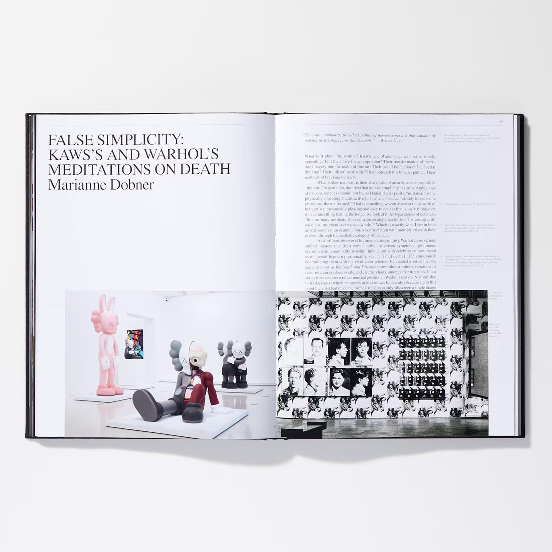KAWS X Warhol Art Book — Side View