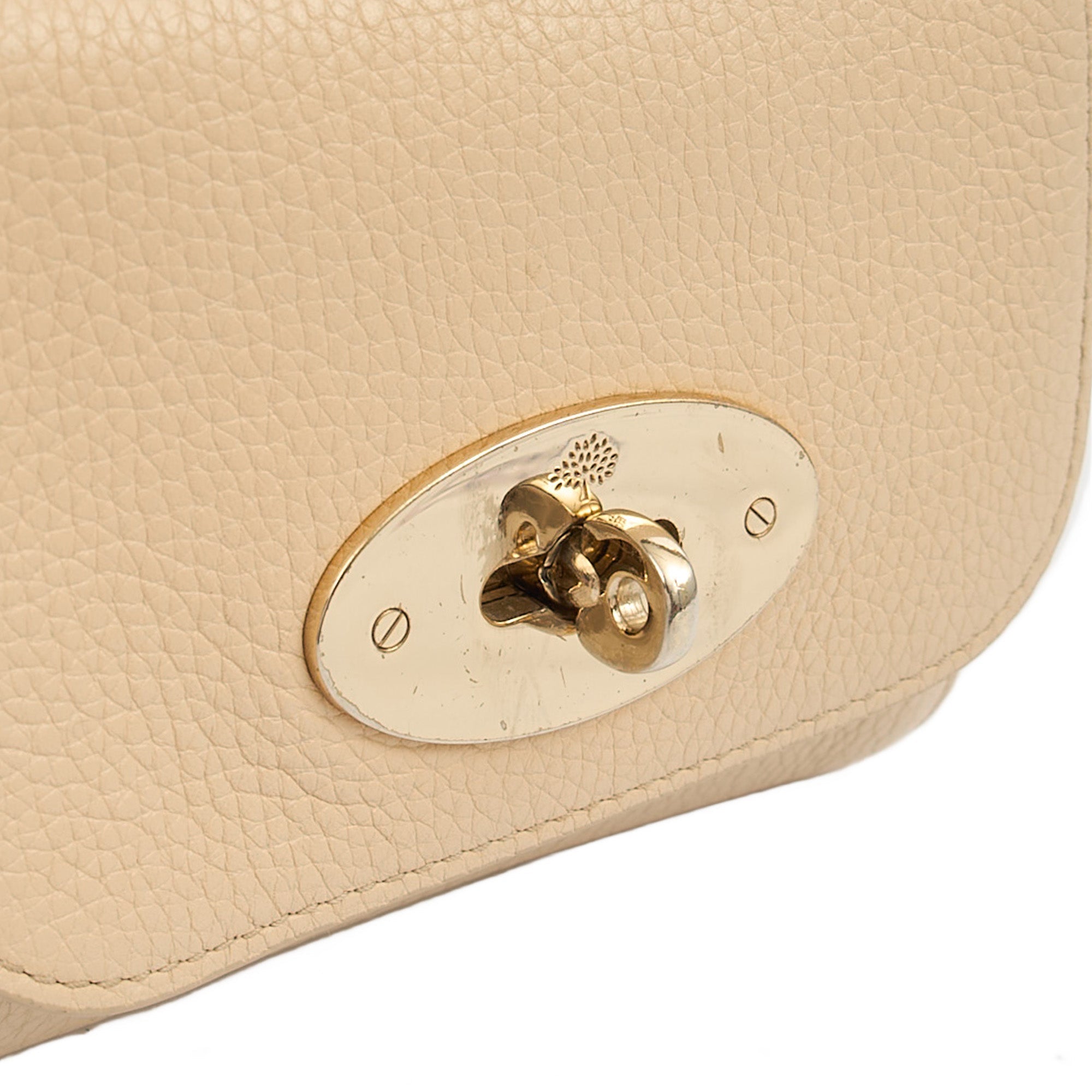 Mulberry Cross Body Lily - Mini  in Neutral, Calfskin Leather — Alternate View 12