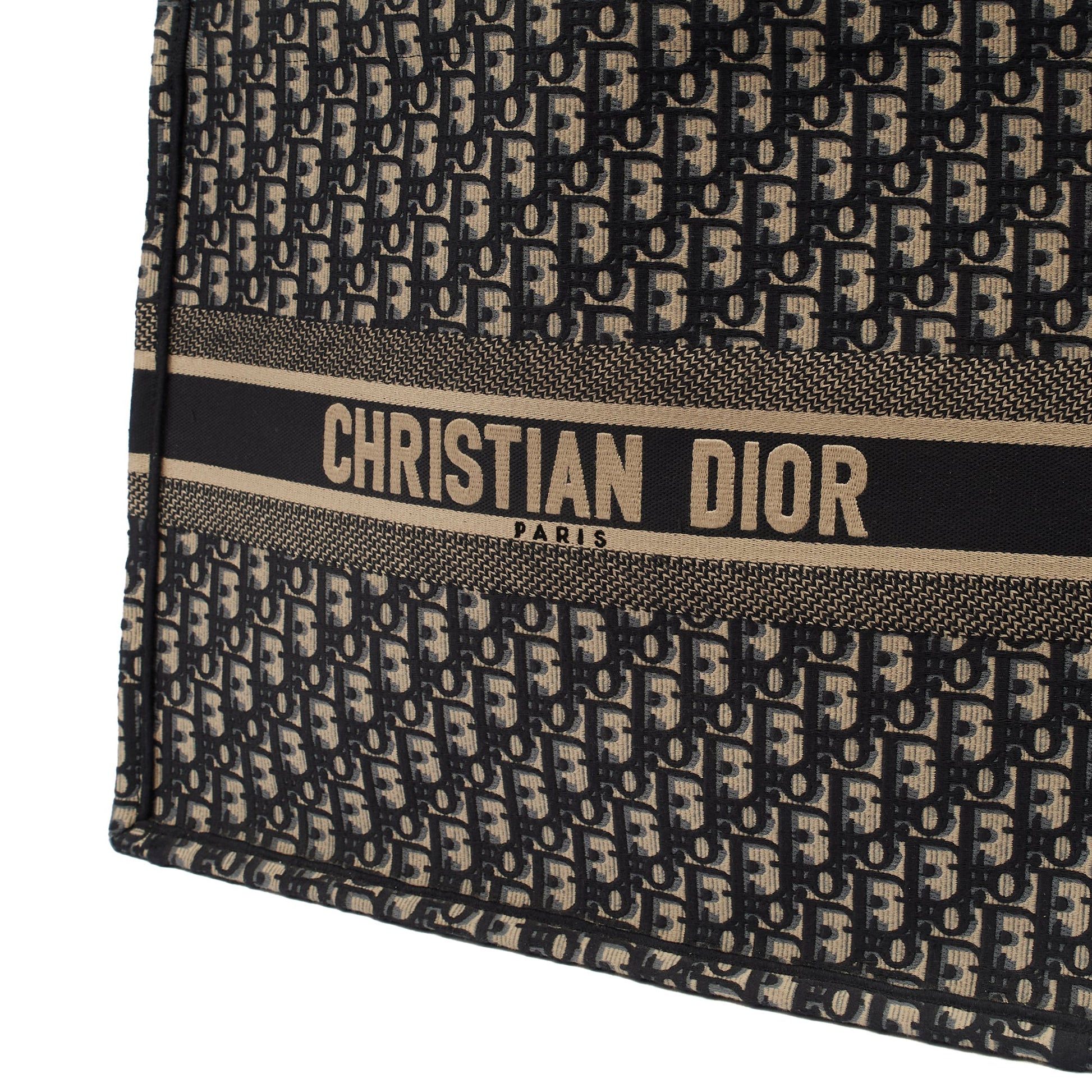 Christian Dior Tote Book Tote in Blue, Dior Oblique Embroidery — Lifestyle View