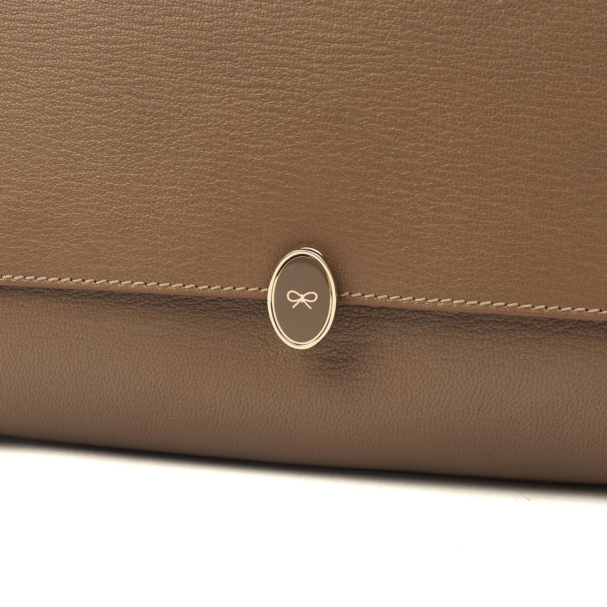 Anya Hindmarch Tote Bathurst Satchel in Brown, Leather — Lifestyle View