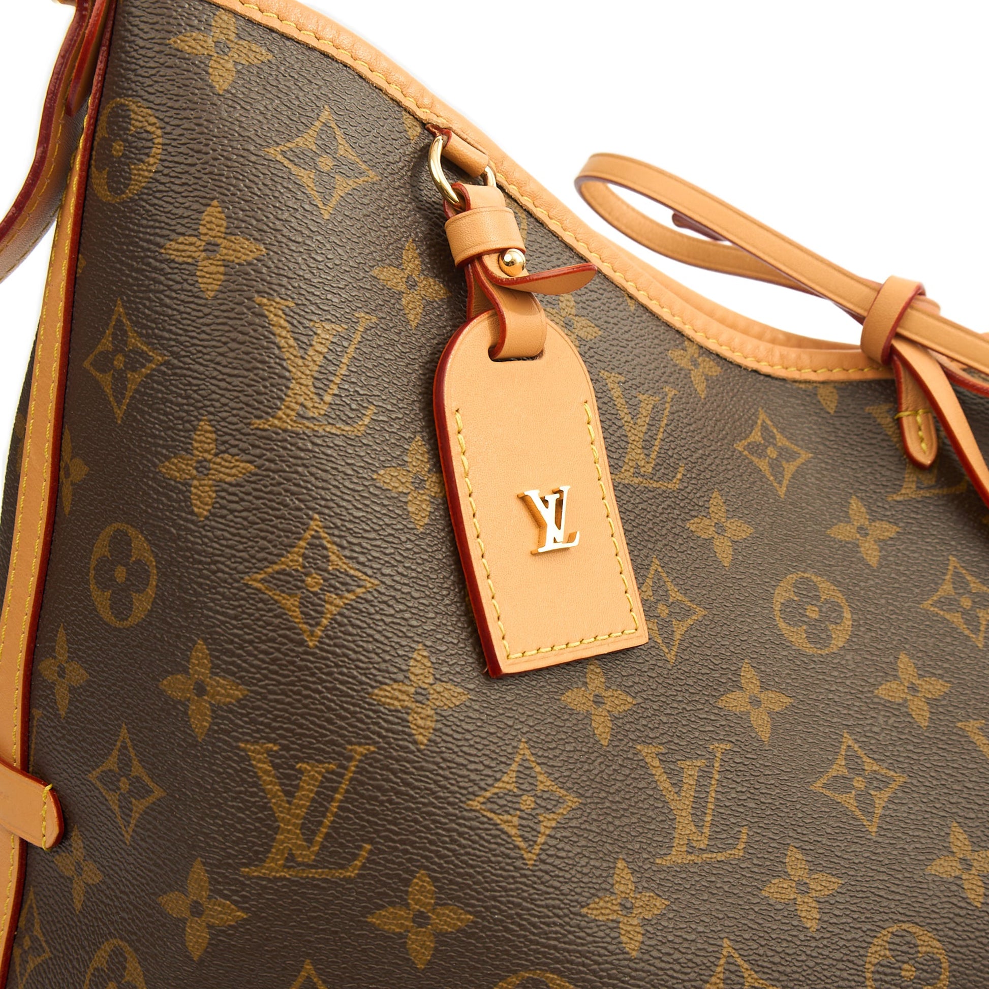 Louis Vuitton CarryAll Vibe MM Bag in Monogram, Canvas — Side View