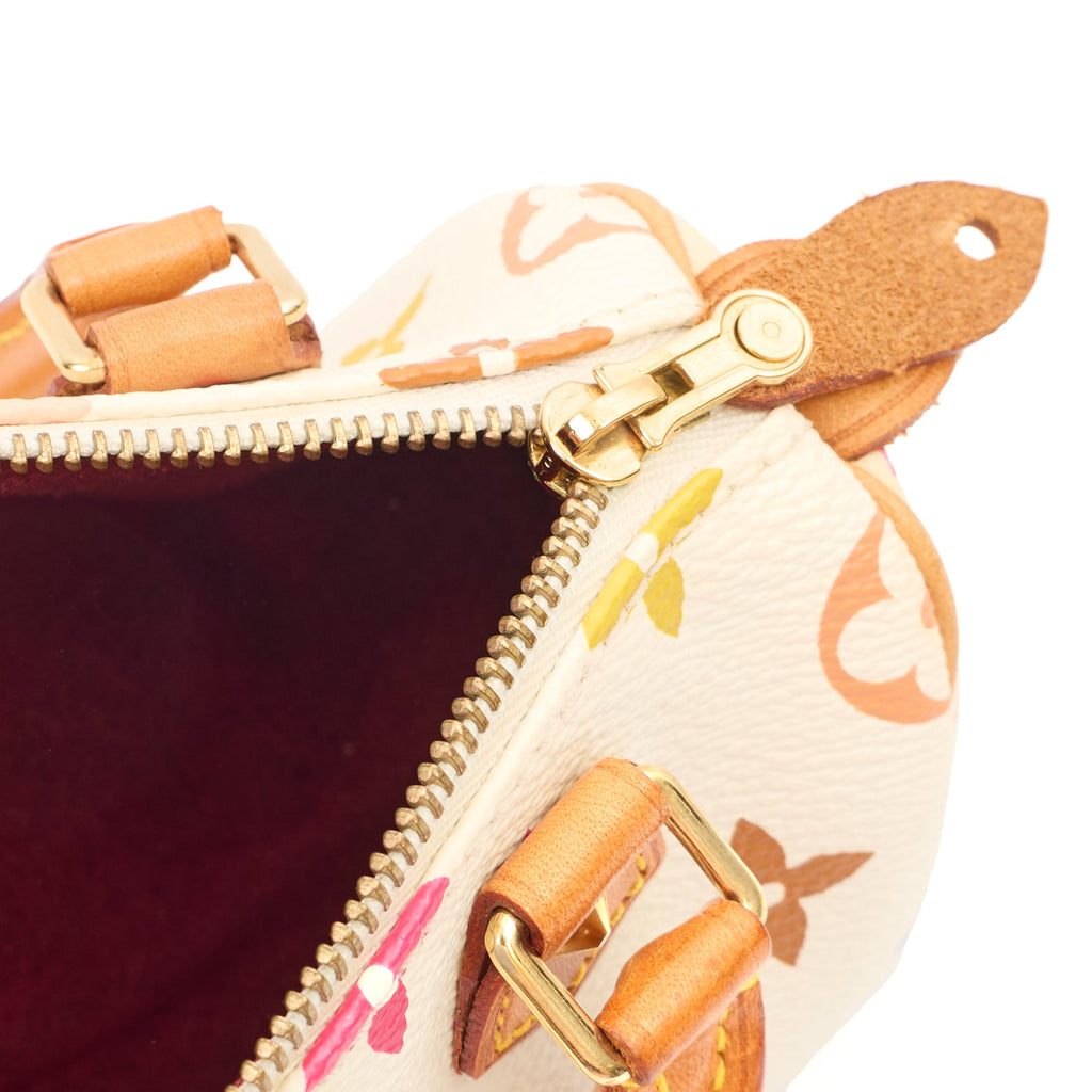 Louis Vuitton Mini Bag Speedy - Nano in Multicolor Monogram, Canvas — Detail View