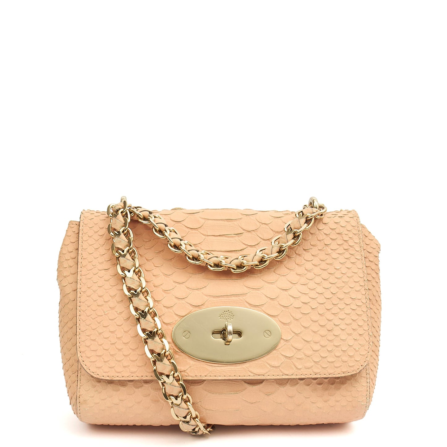 Mulberry Shoulder Bag Cecily  in Neutral, Exotic Effect Leather — Alternate View 13