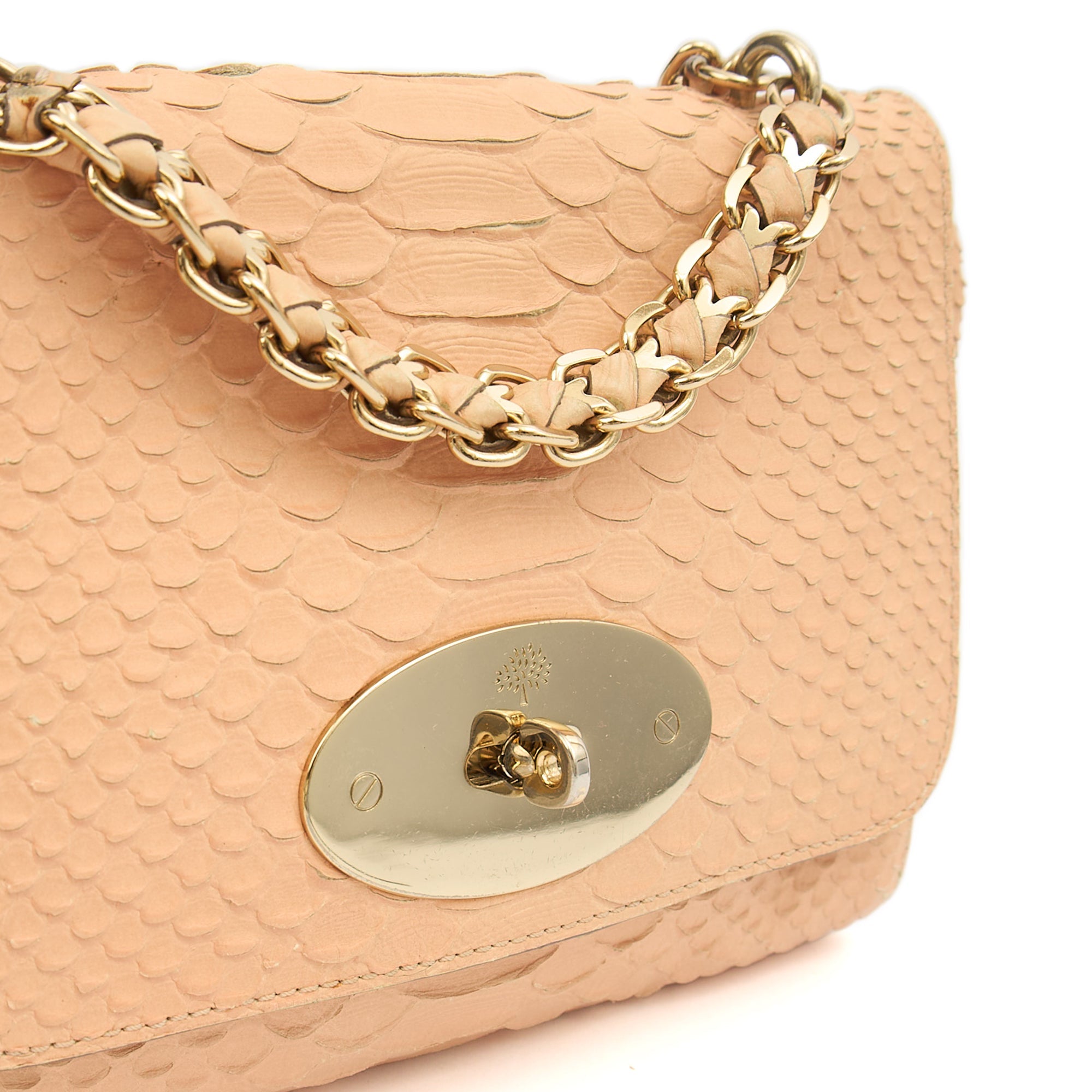 Mulberry Shoulder Bag Cecily  in Neutral, Exotic Effect Leather — Alternate View 18