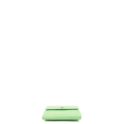Louis Vuitton Wallet Wallet in Green, Patent Leather — Back View