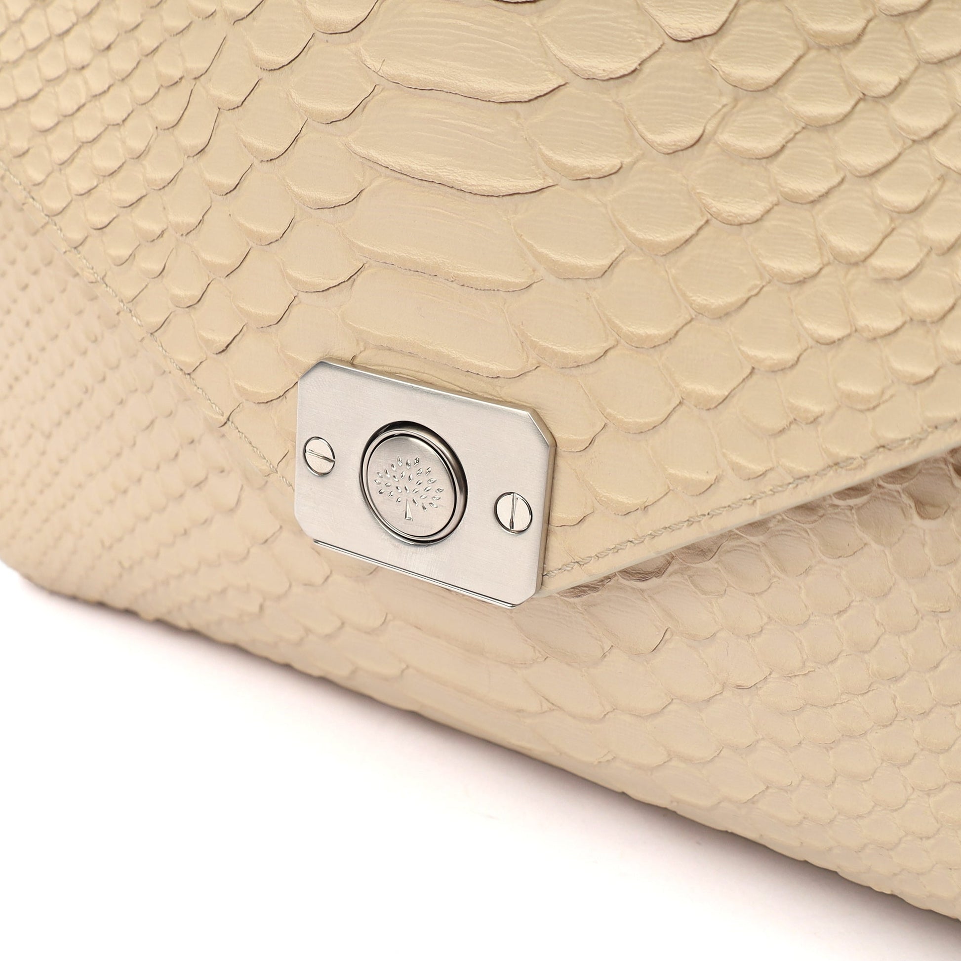 Mulberry Cross Body Delphie Reversible  in Neutral, Python Leather — Lifestyle View