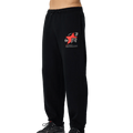 Reprimo Collective RP Cuffed Joggers 'Black' — XXS — Front View