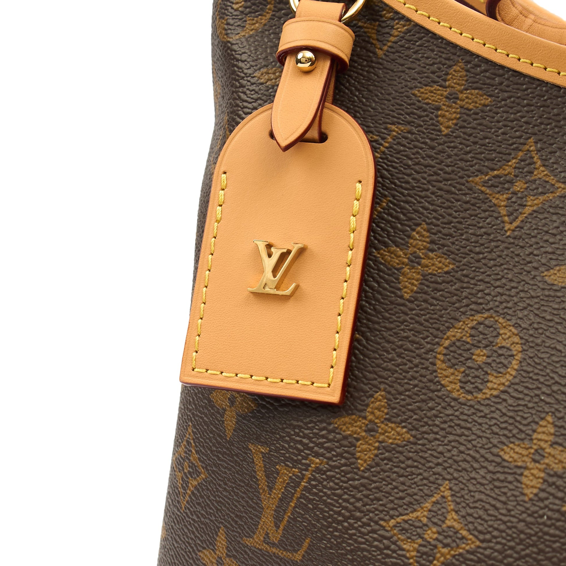 Louis Vuitton Shoulder Bag Carryall PM Bag in Monogram, Canvas — Lifestyle View